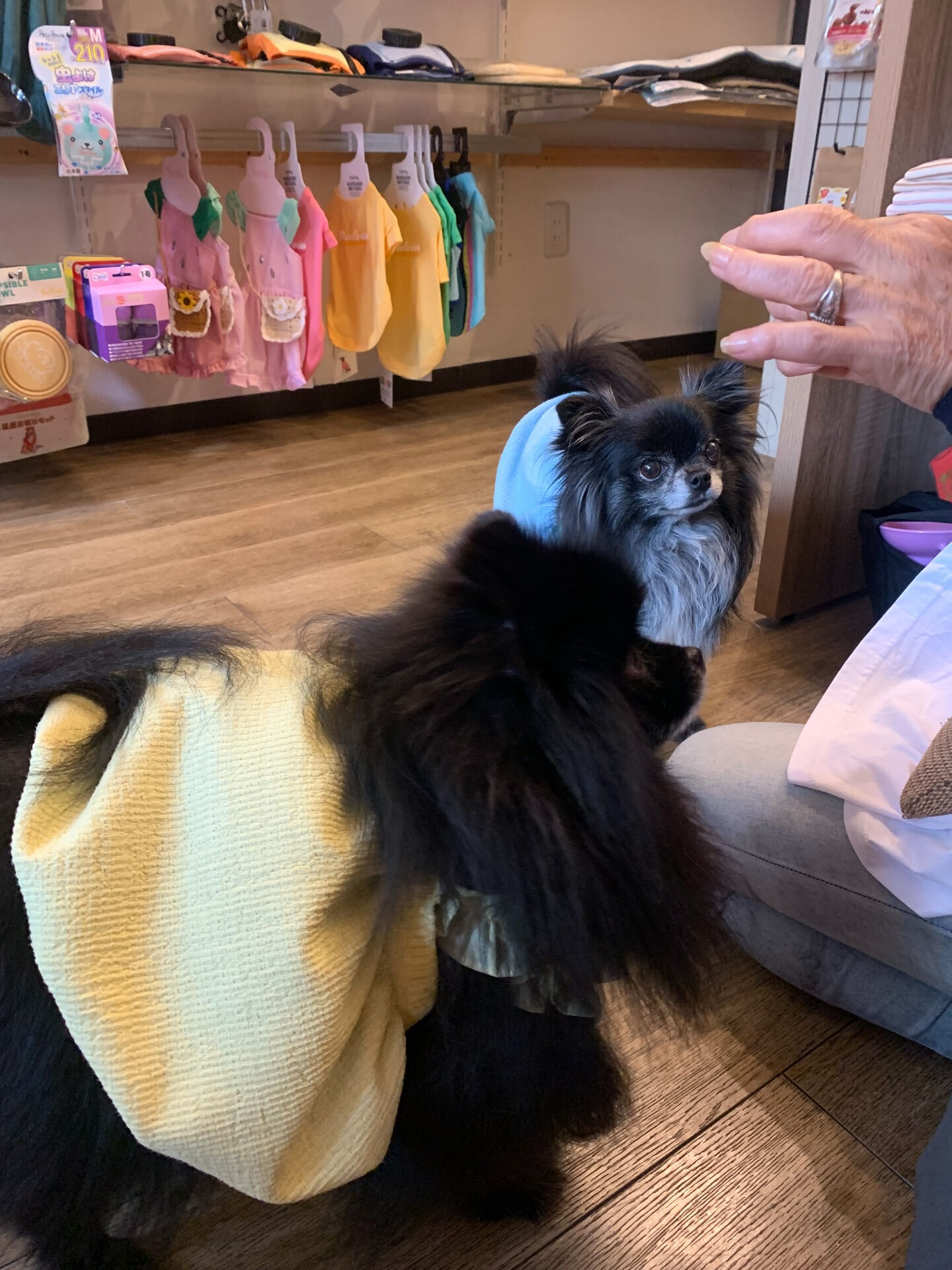 本日の大トリは、ラナちゃんでしたー✨