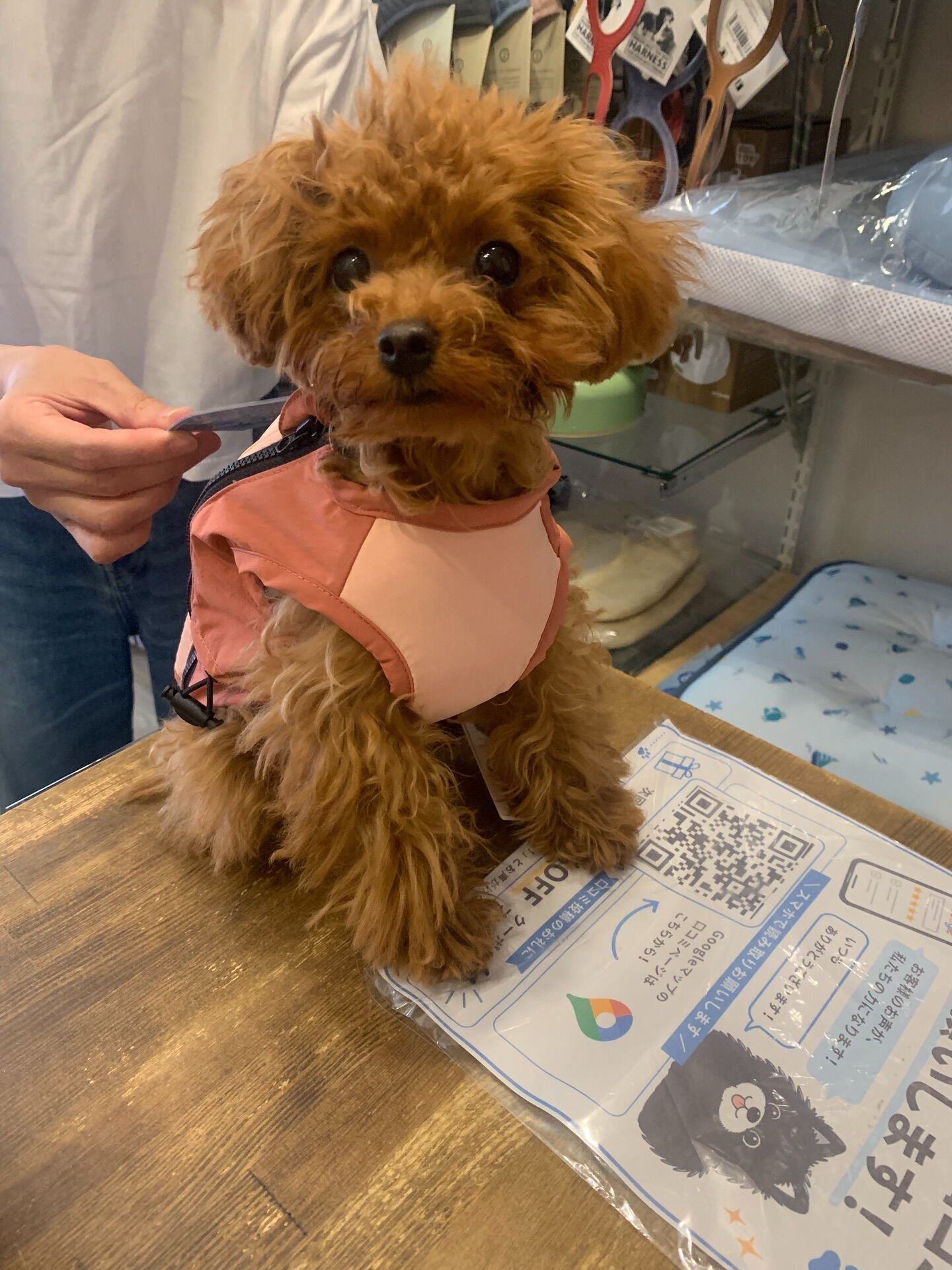 もこちゃんご来店ありがとうございます✨