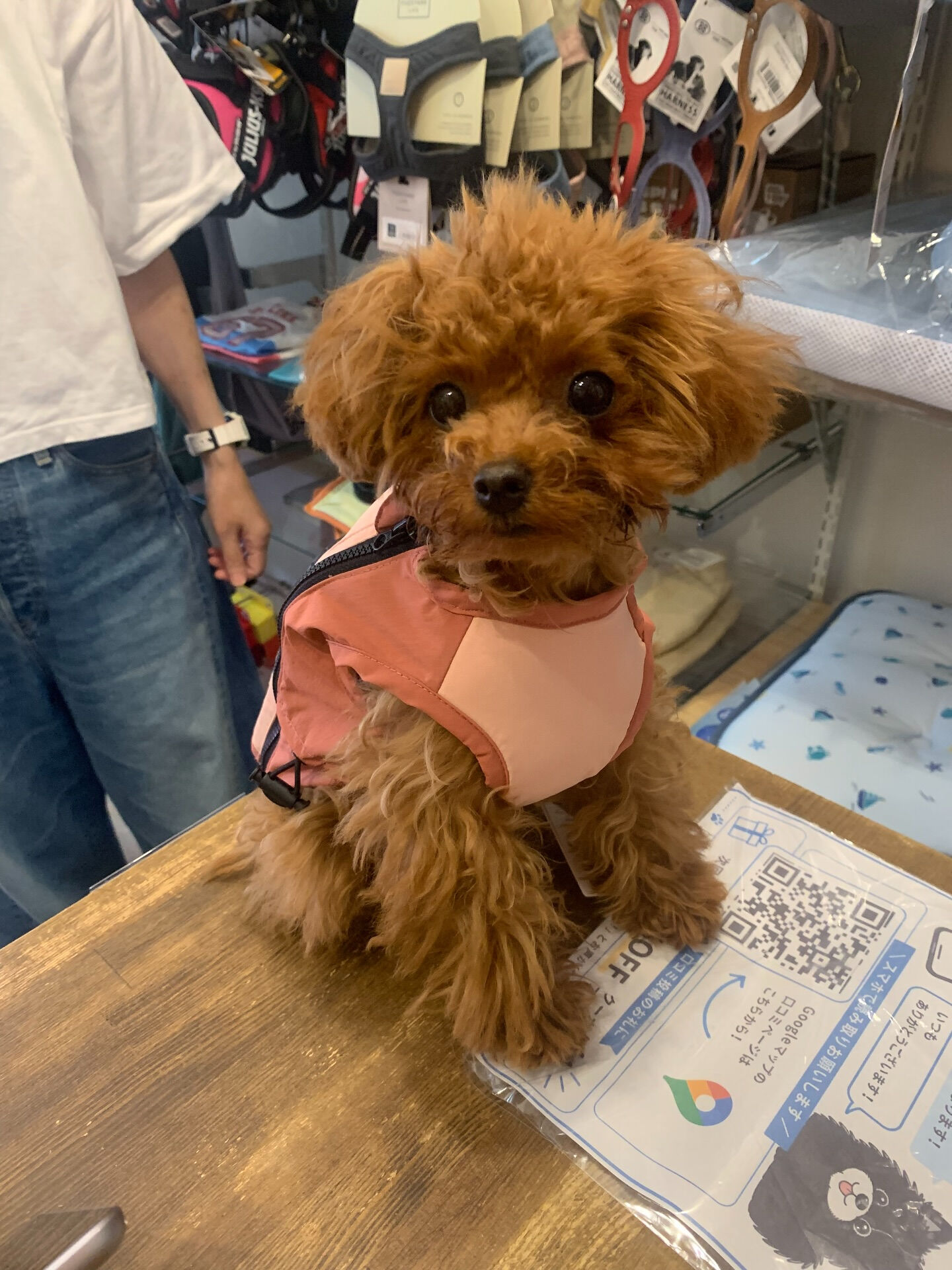もこちゃんご来店ありがとうございます✨