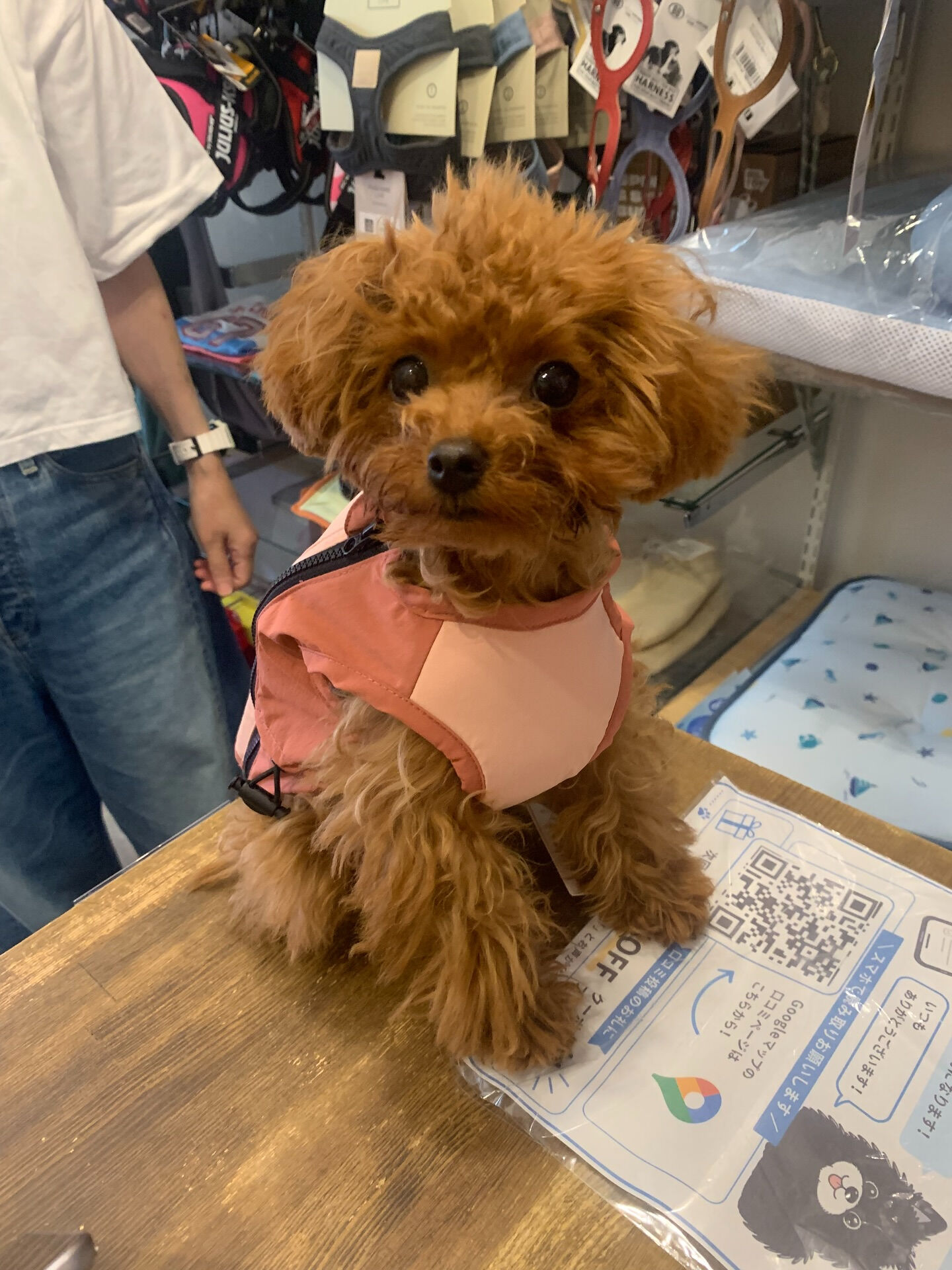 もこちゃんご来店ありがとうございます✨