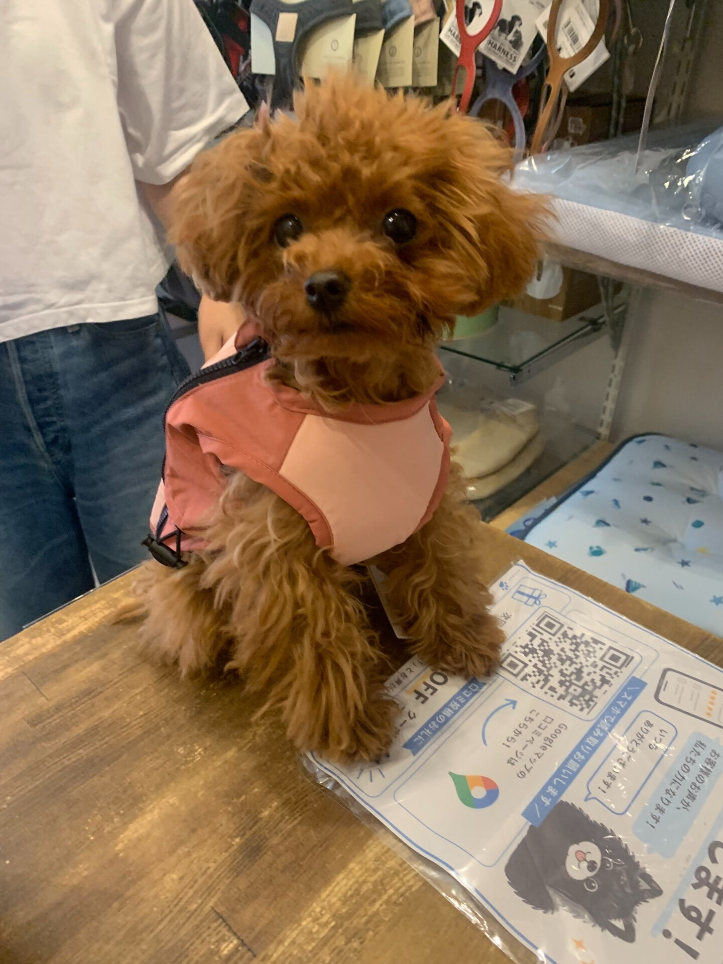 もこちゃんご来店ありがとうございます✨