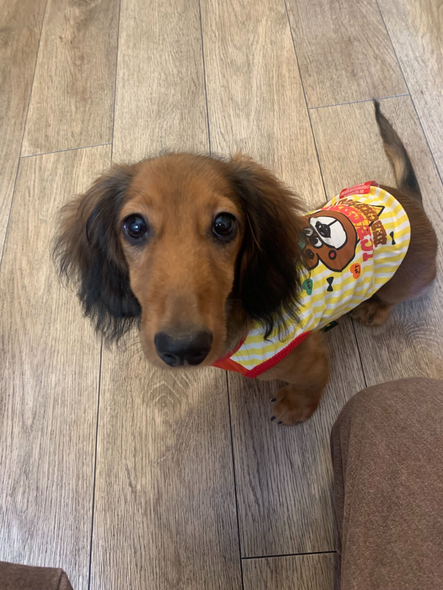 クッキーくんご来店ありがとうございます😊