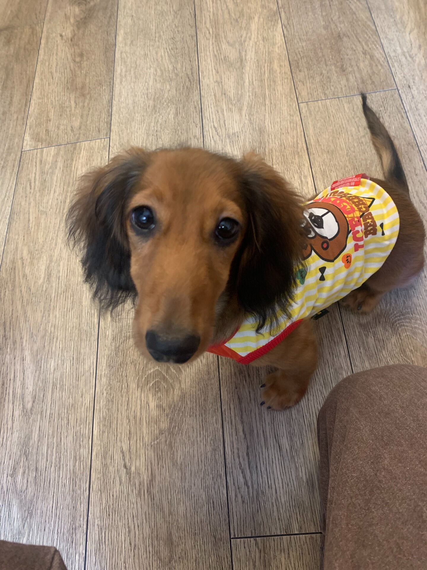 クッキーくんご来店ありがとうございます😊