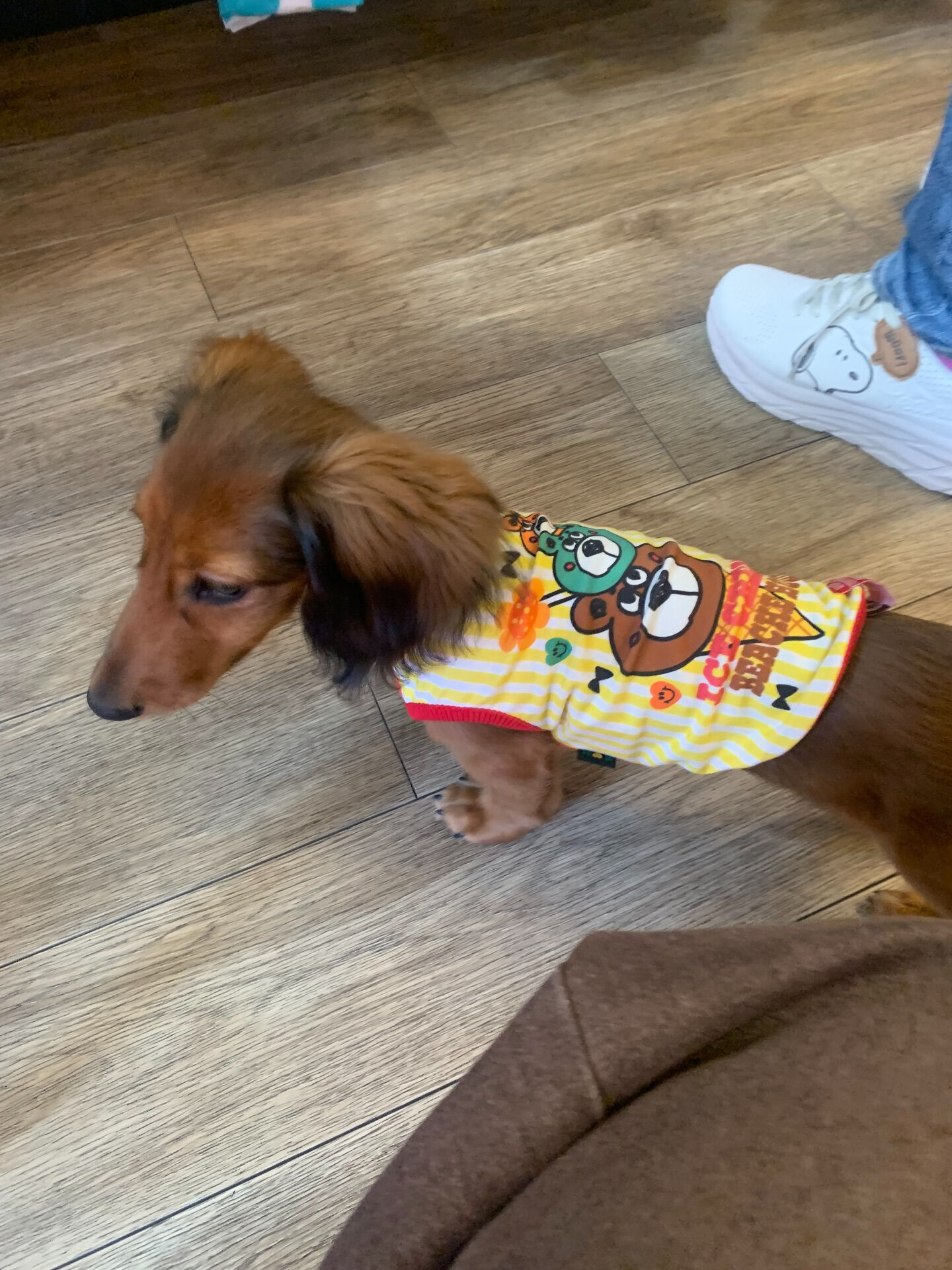 クッキーくんご来店ありがとうございます😊