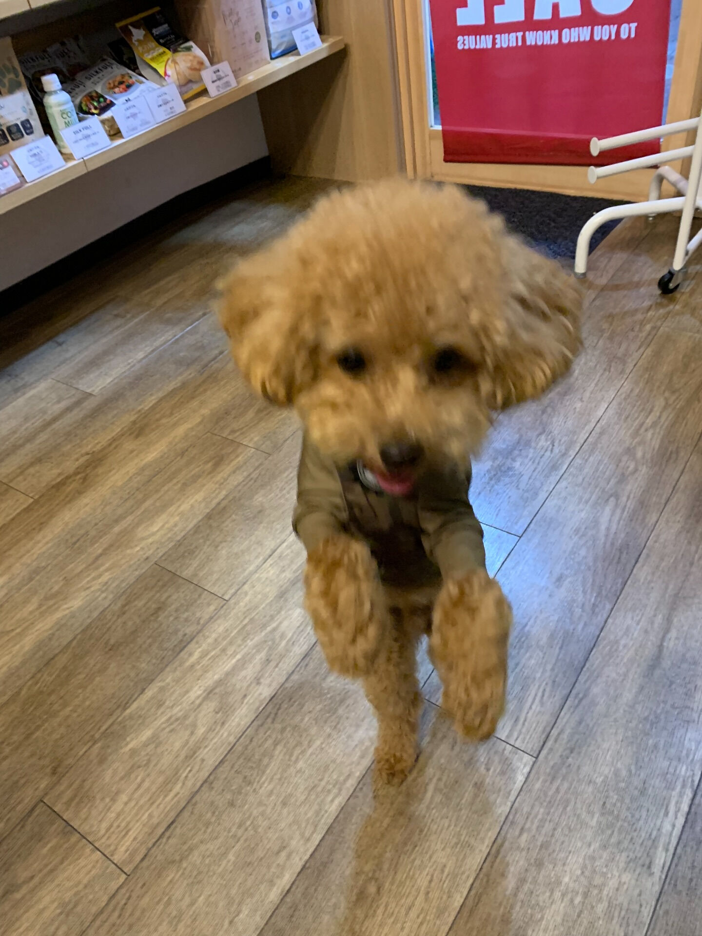 チェリくんご来店ありがとうございます😊