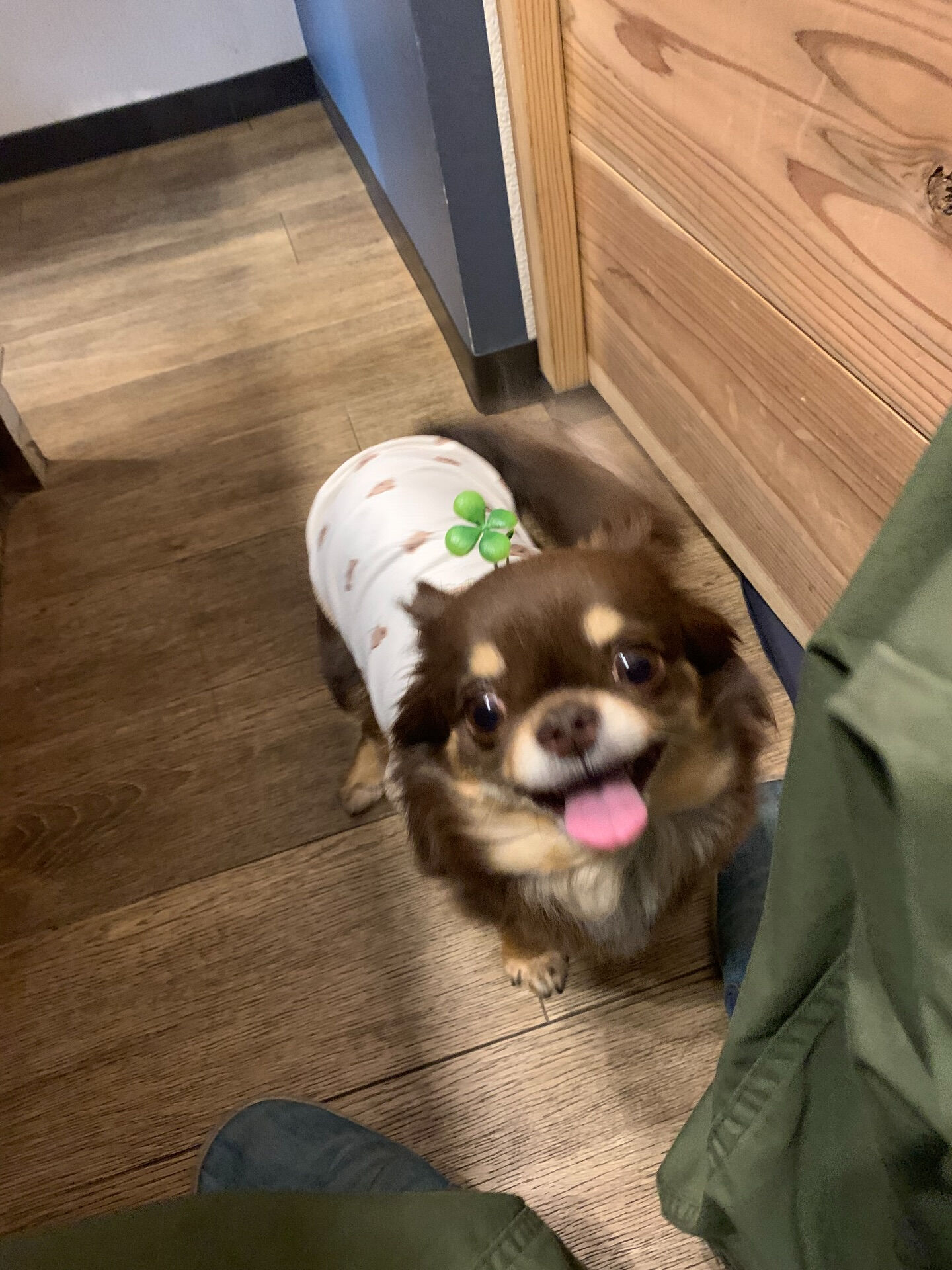 昨日のご来店のお友達です😀