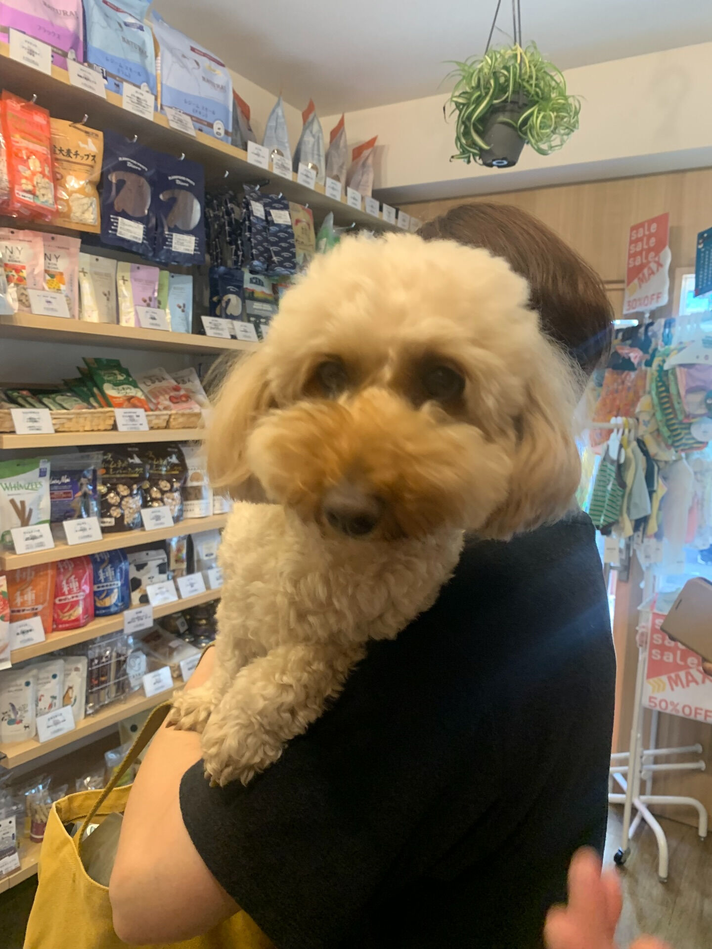 ちょびちゃんご来店ありがとうございます😊