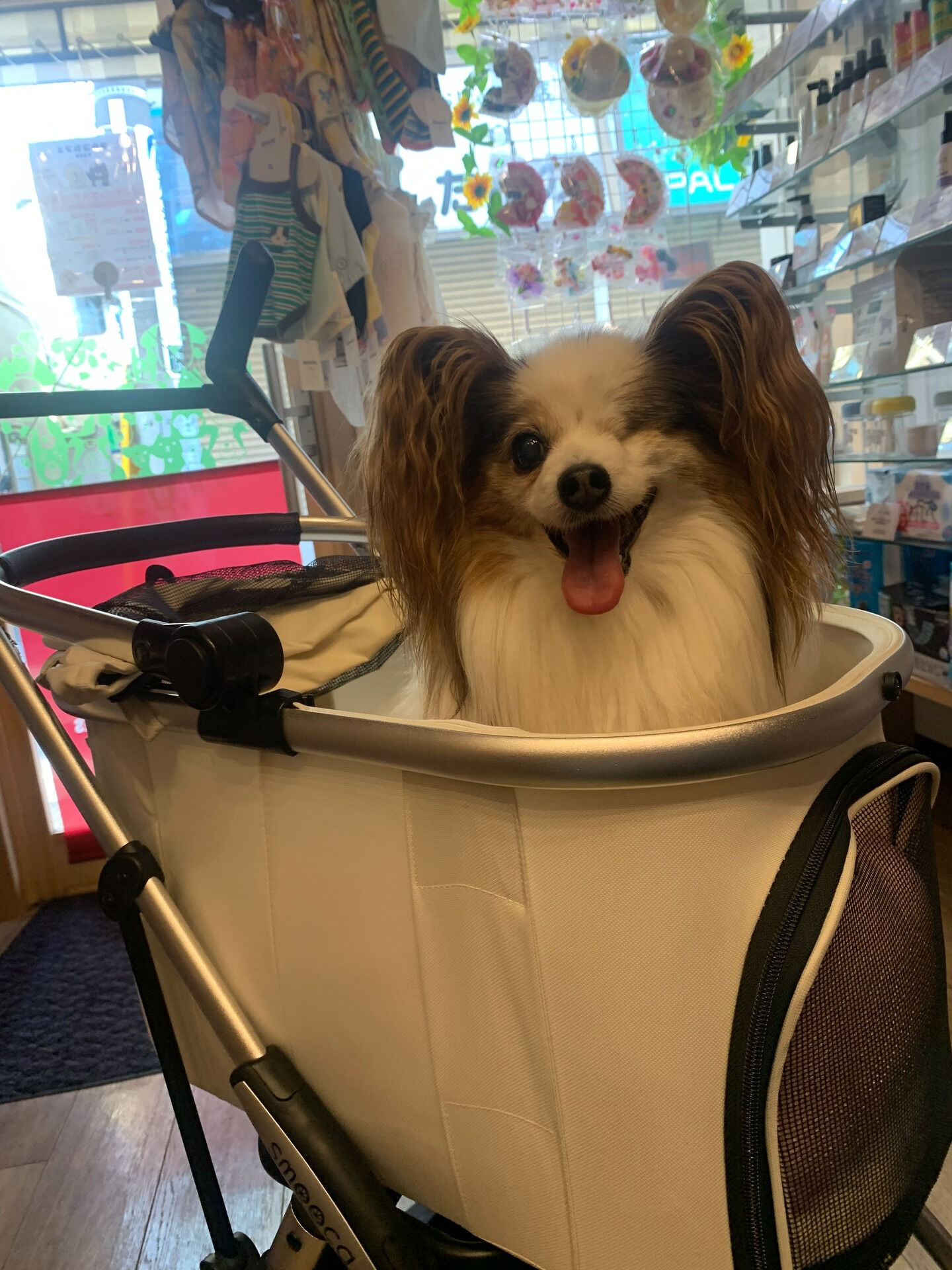 ニーナちゃんご来店ありがとうございます😊毎日暑いねぇ🫠
