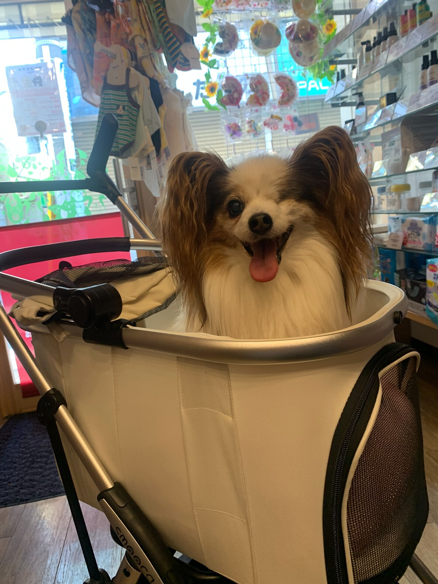 ニーナちゃんご来店ありがとうございます😊毎日暑いねぇ🫠