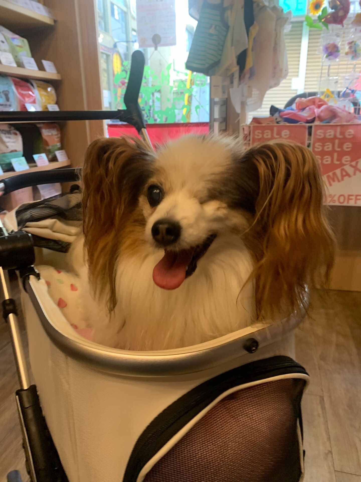 ニーナちゃんご来店ありがとうございます😊毎日暑いねぇ🫠