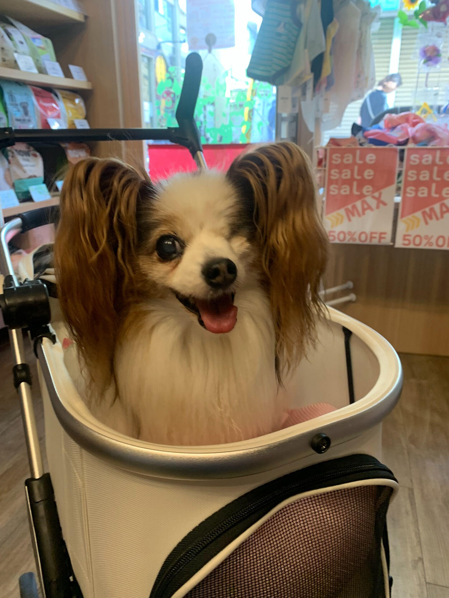 ニーナちゃんご来店ありがとうございます😊毎日暑いねぇ🫠