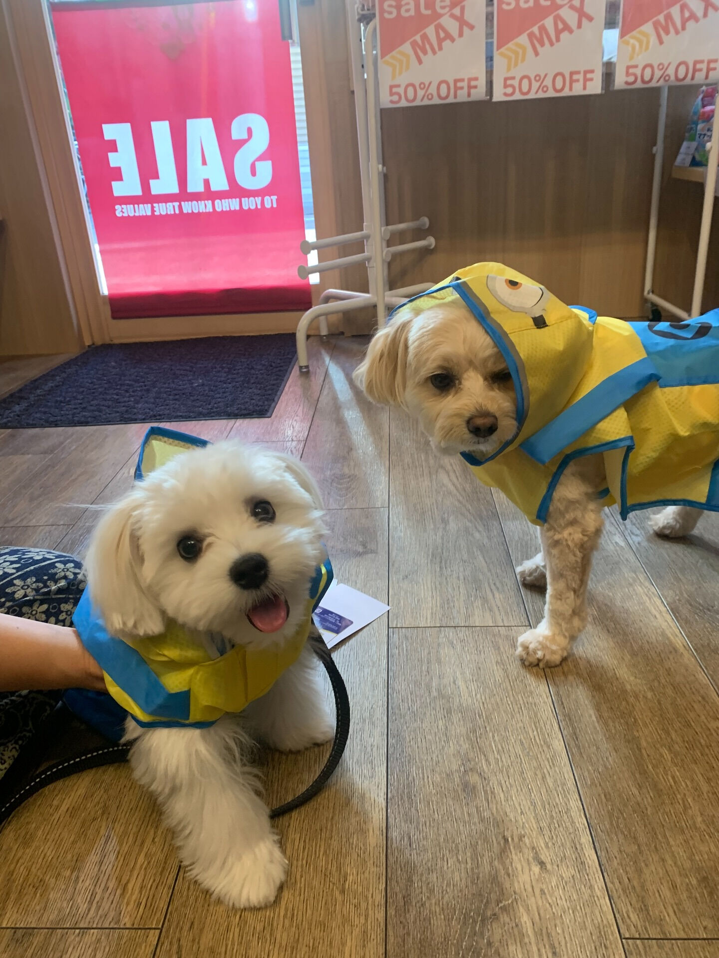 ウコちゃん、スコくんご来店ありがとうございます😊
