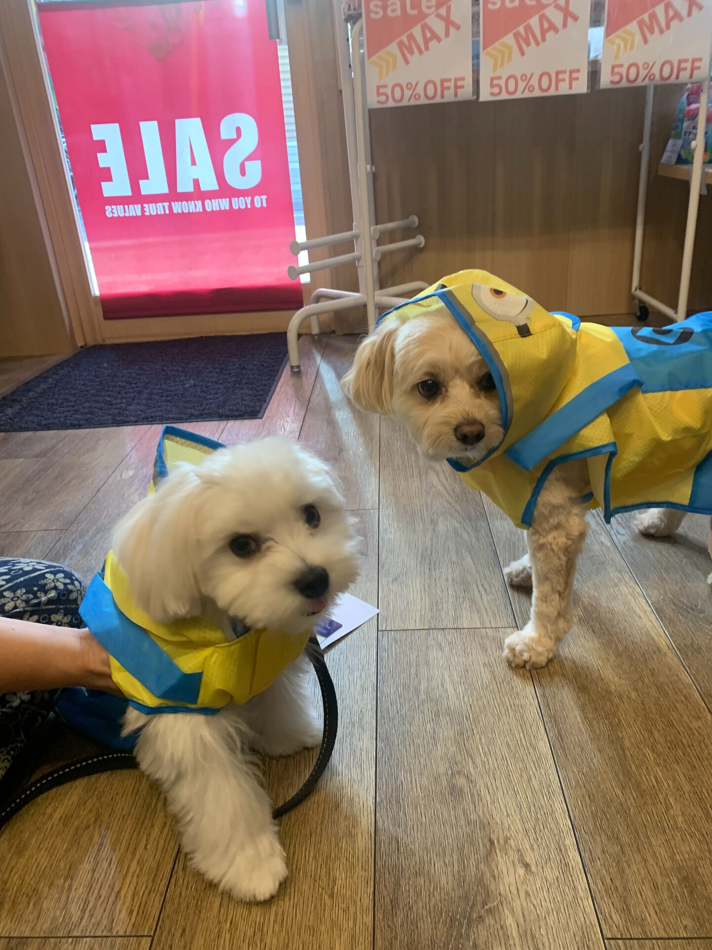 ウコちゃん、スコくんご来店ありがとうございます😊