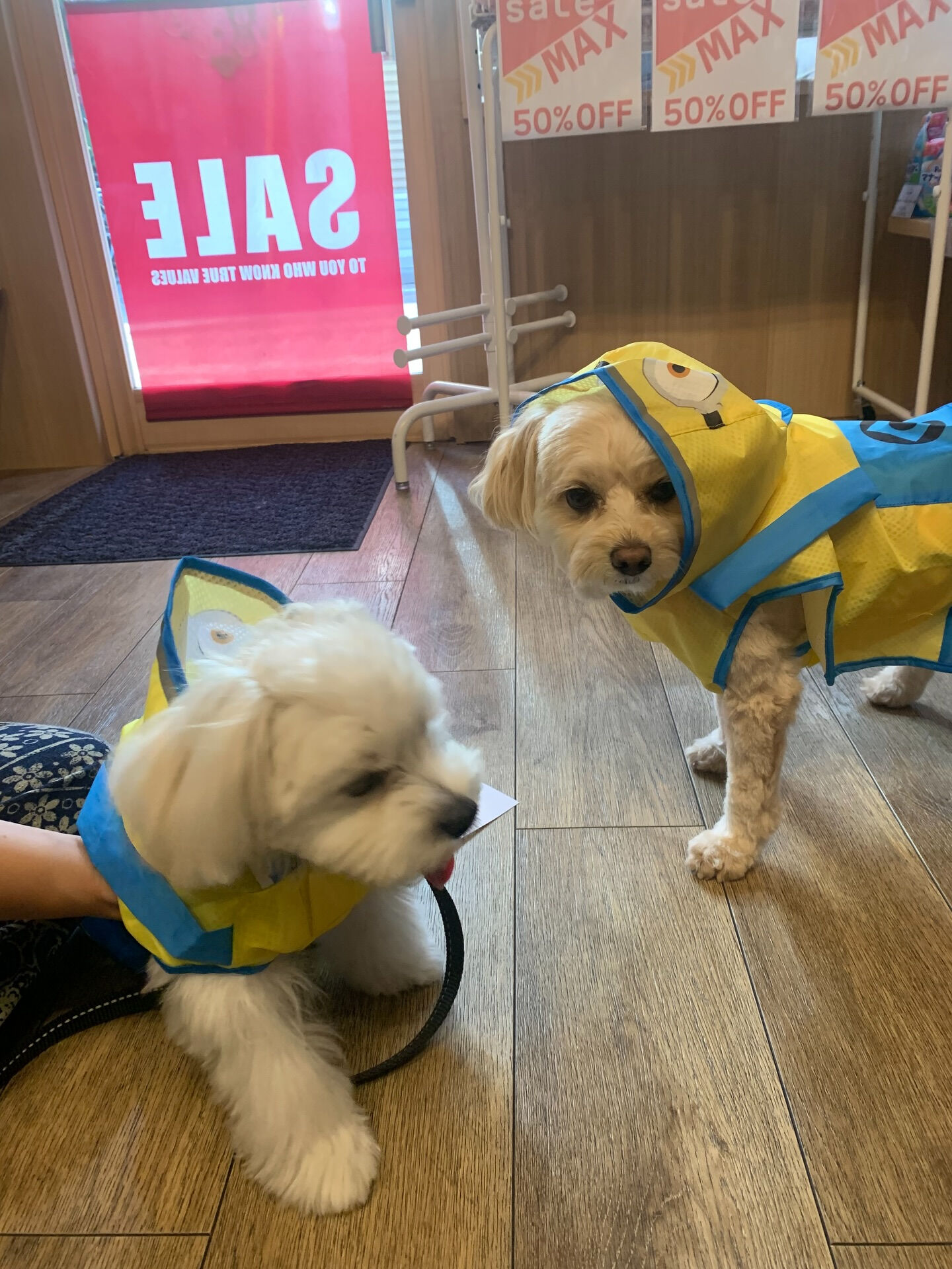 ウコちゃん、スコくんご来店ありがとうございます😊