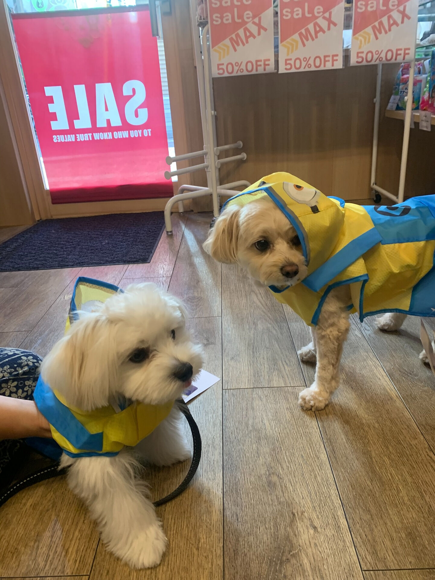ウコちゃん、スコくんご来店ありがとうございます😊