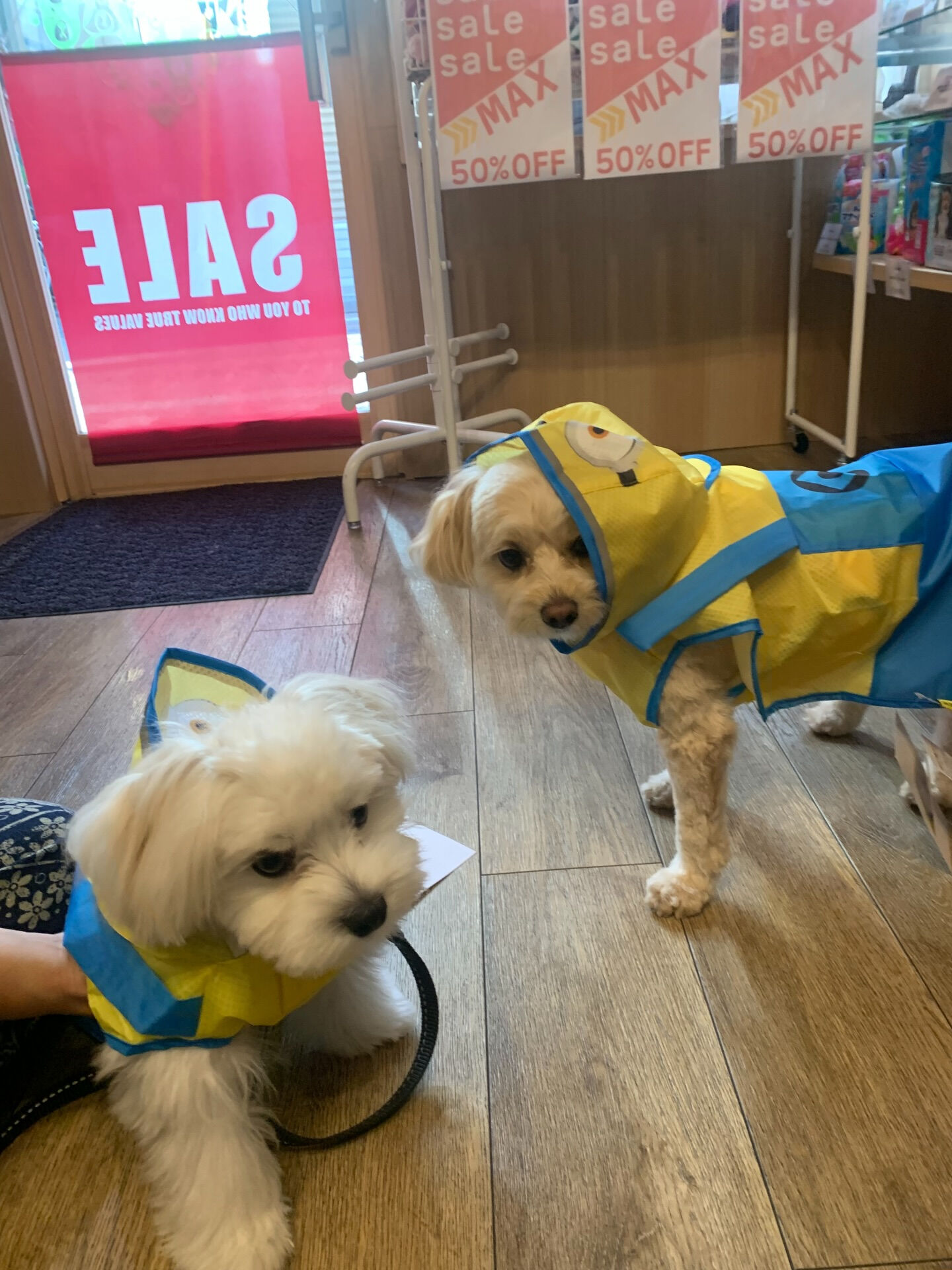 ウコちゃん、スコくんご来店ありがとうございます😊