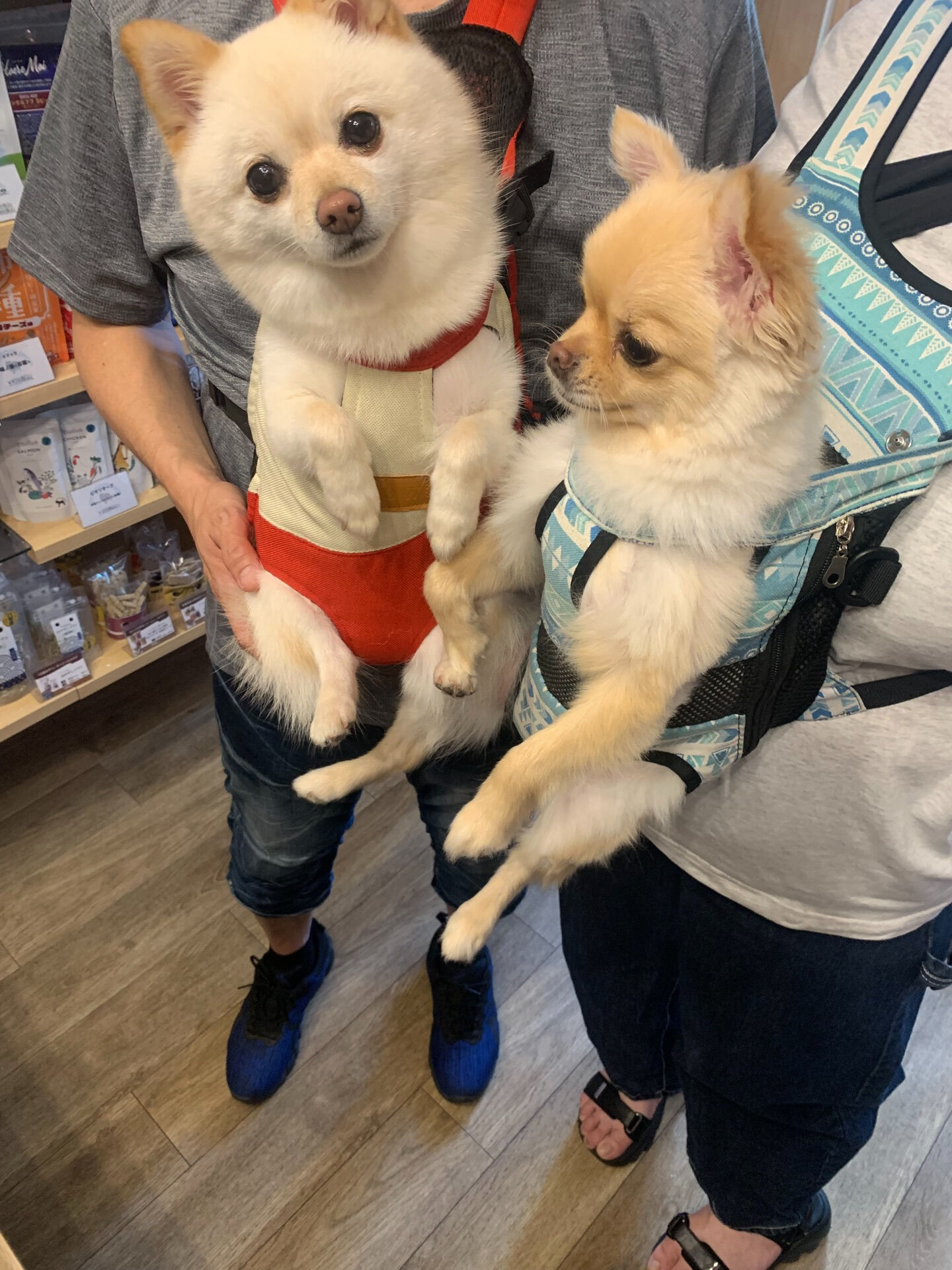 ももちゃん、ちくわくんご来店ありがとうございます☺️
