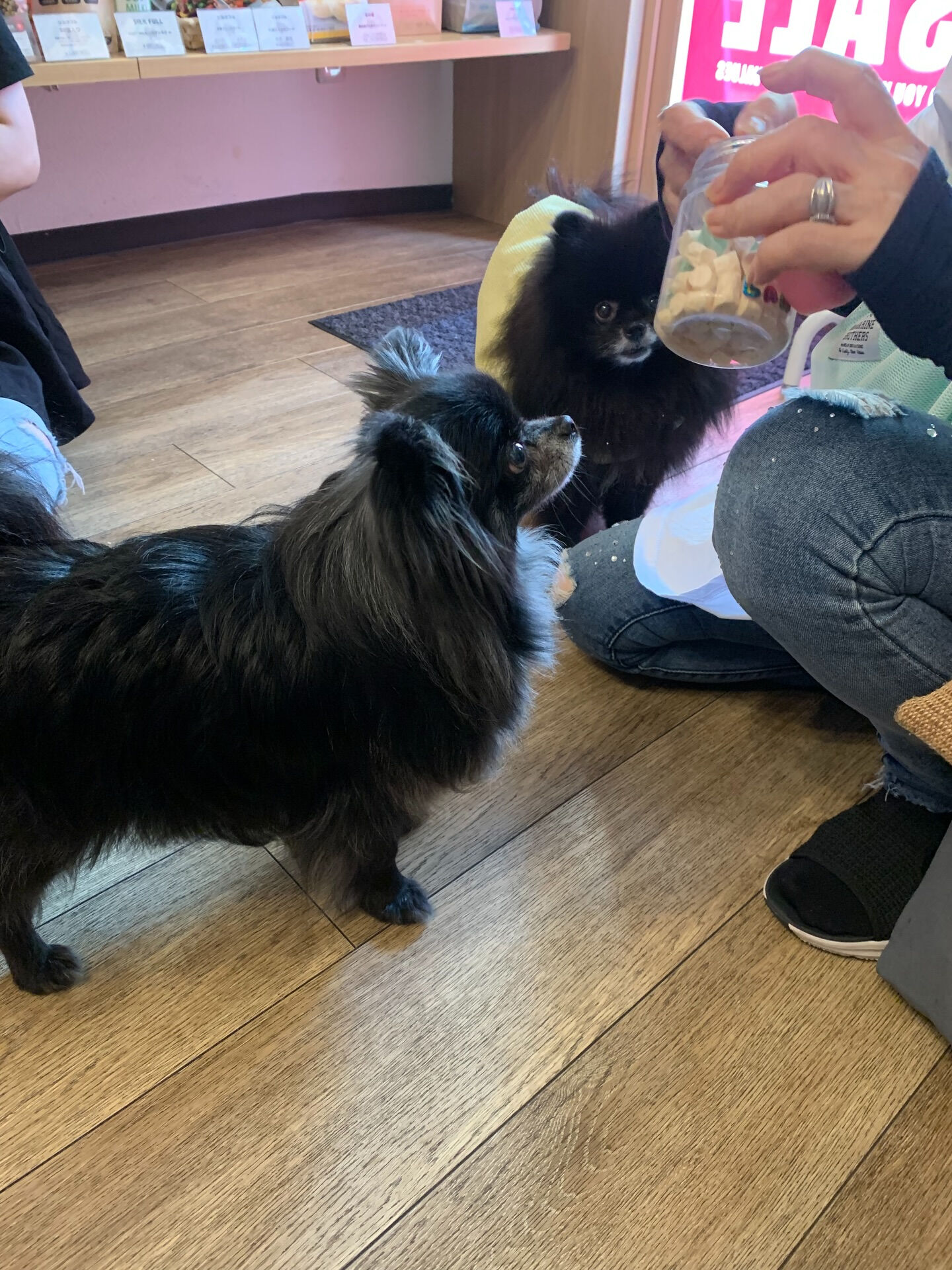 ラナちゃんご来店ありがとうございます😊