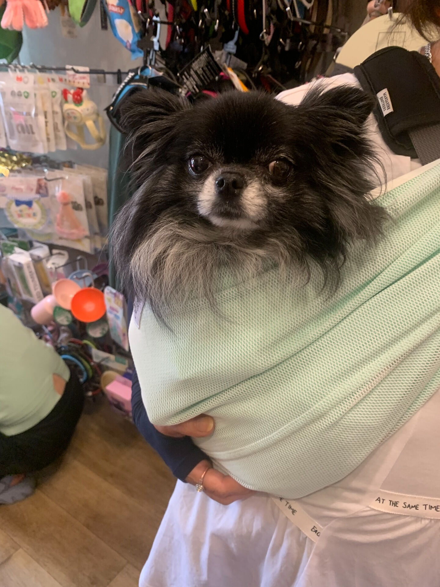 ラナちゃんご来店ありがとうございます😊