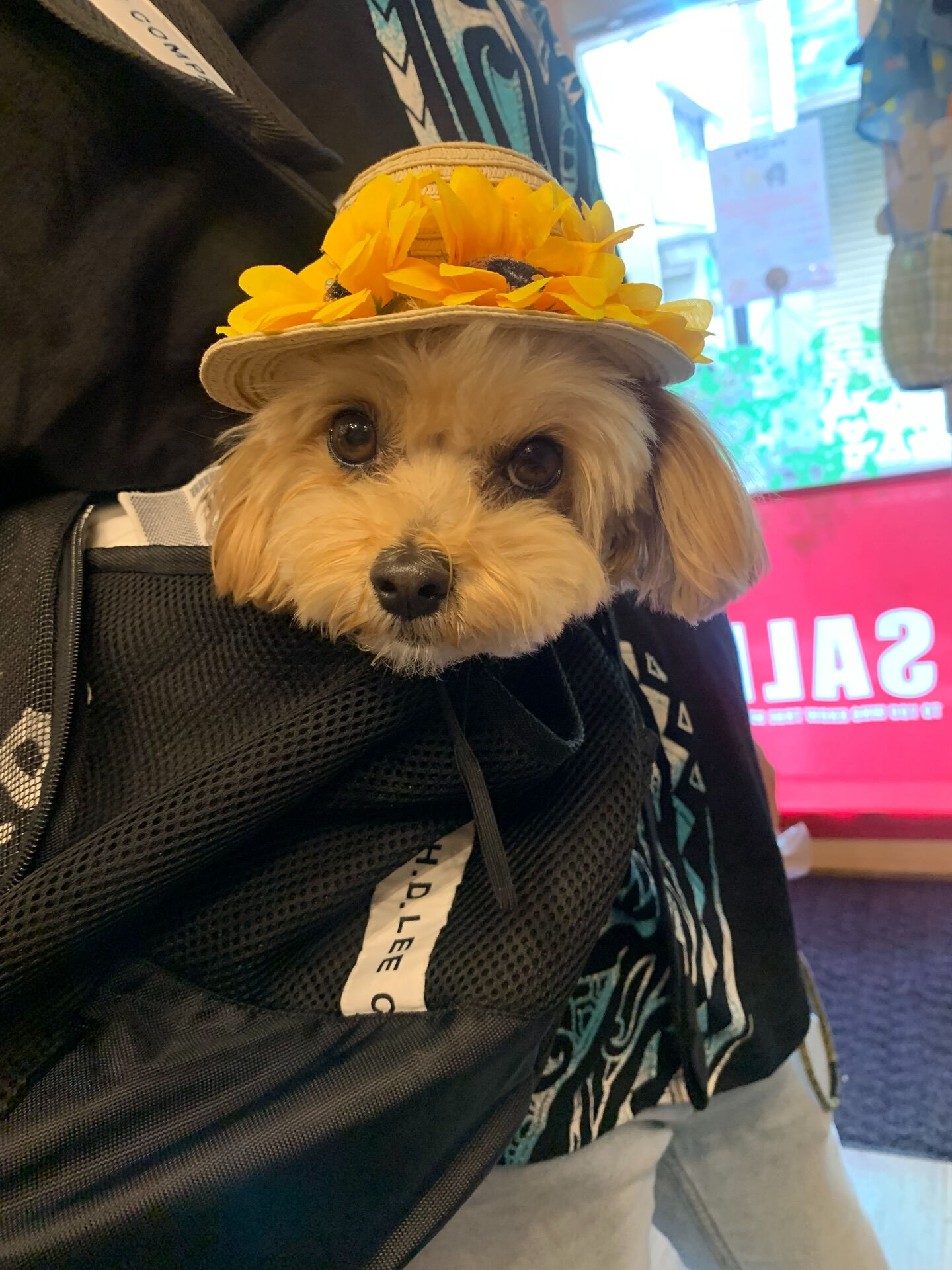 ティナちゃんご来店ありがとうございます😊