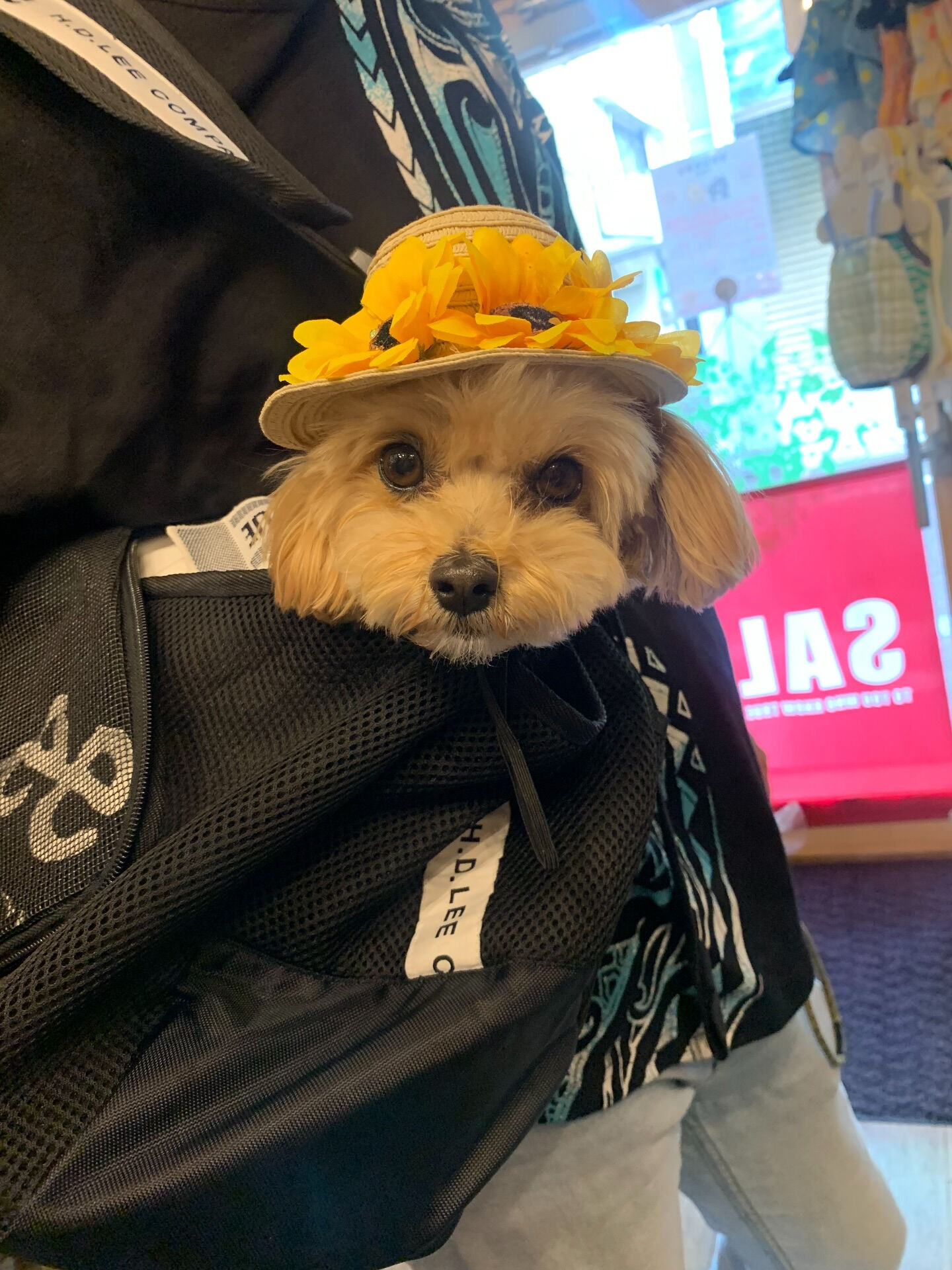 ティナちゃんご来店ありがとうございます😊