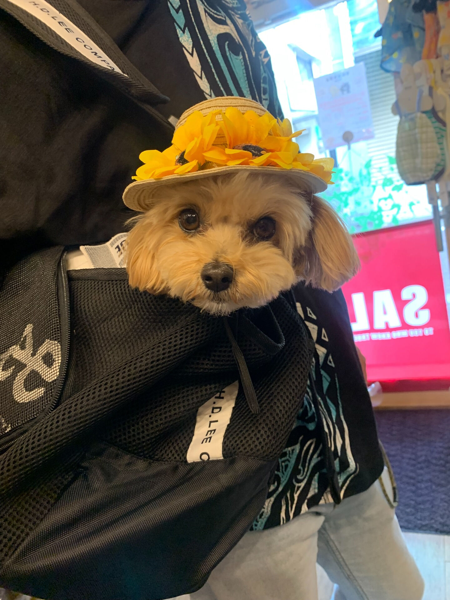 ティナちゃんご来店ありがとうございます😊