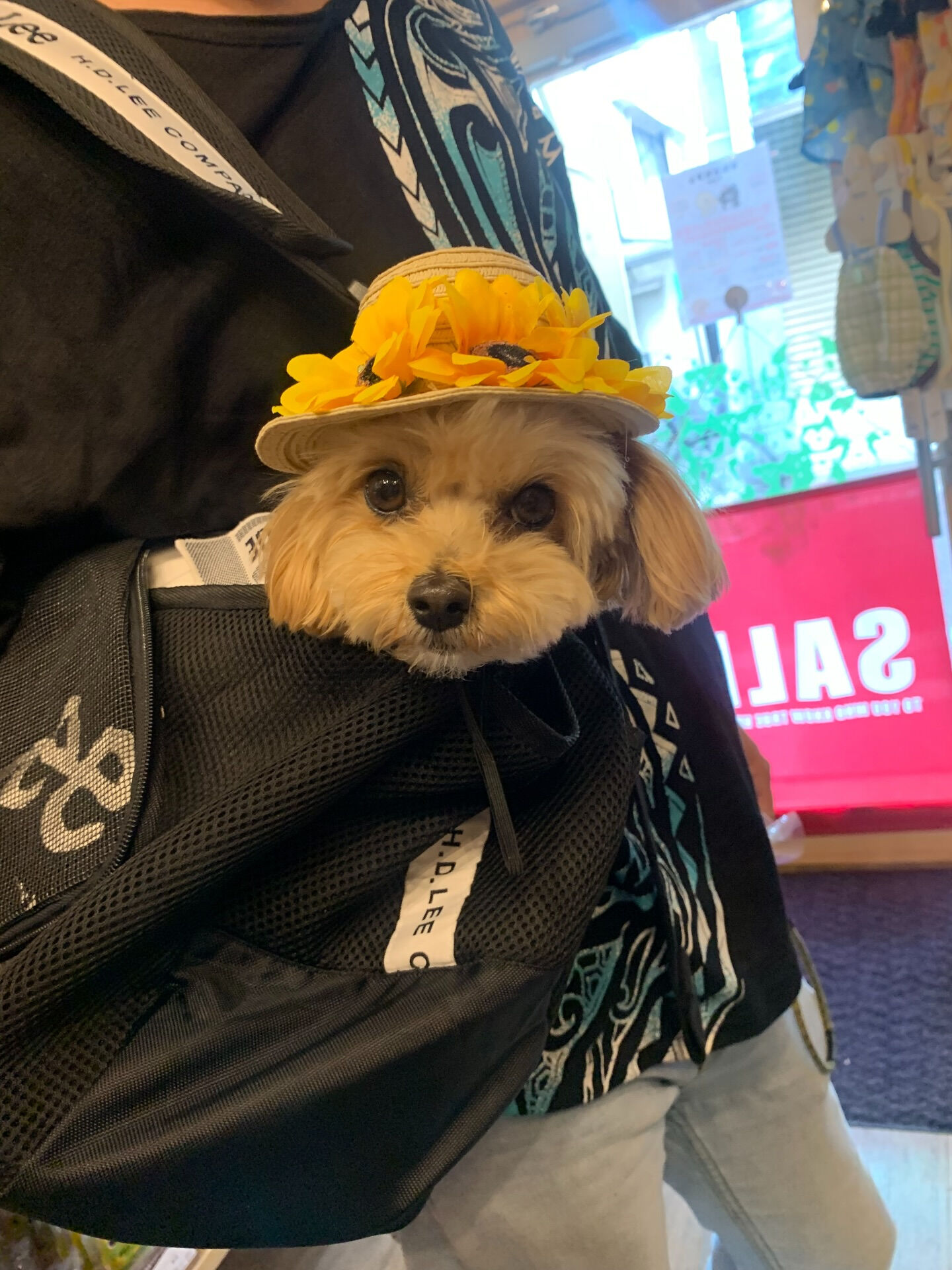ティナちゃんご来店ありがとうございます😊