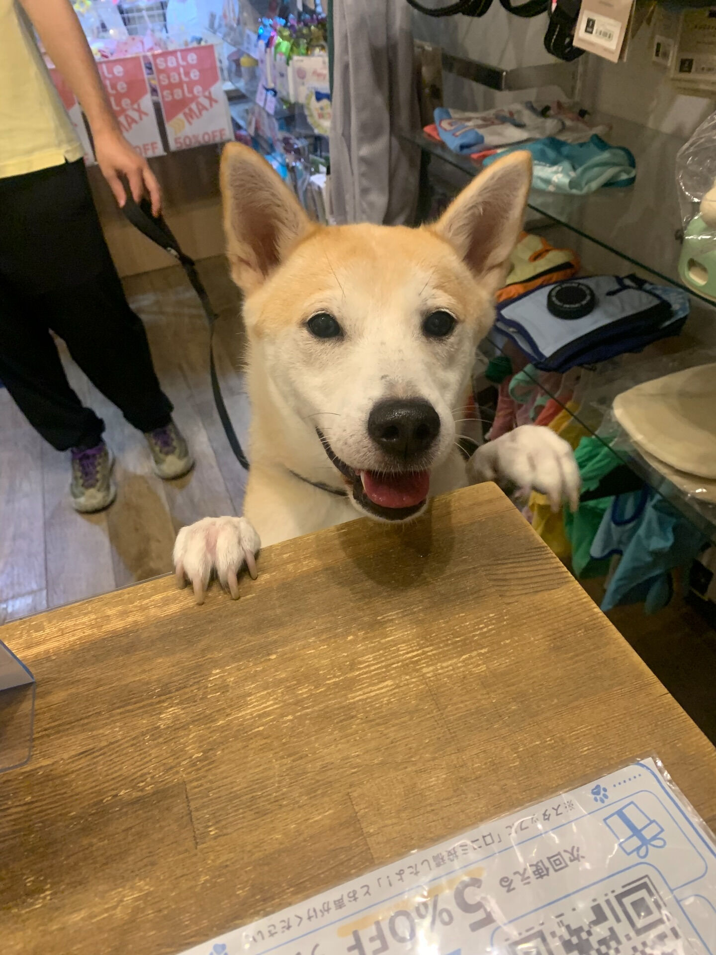 こむぎくんご来店ありがとうございます😊
