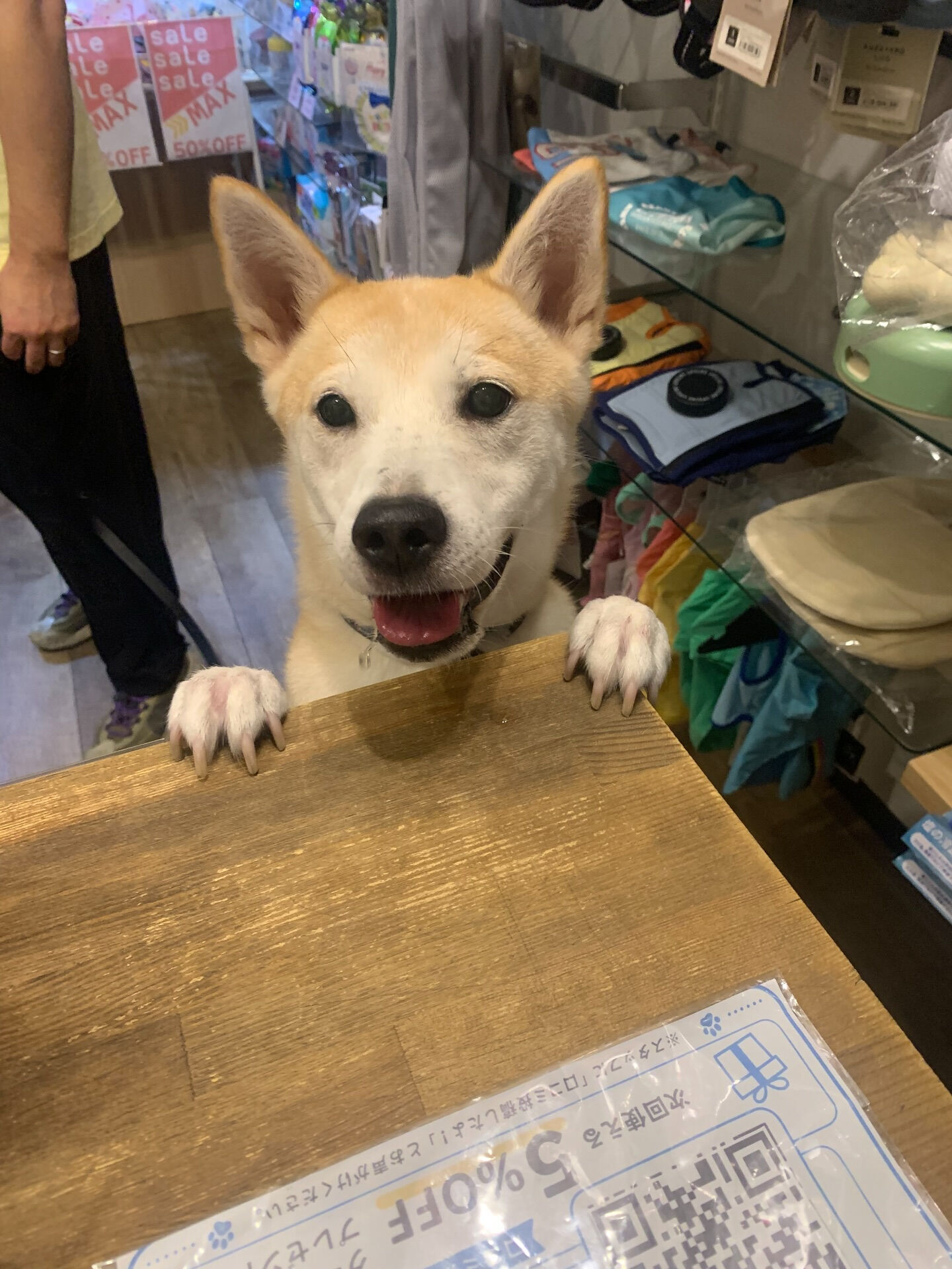 こむぎくんご来店ありがとうございます😊