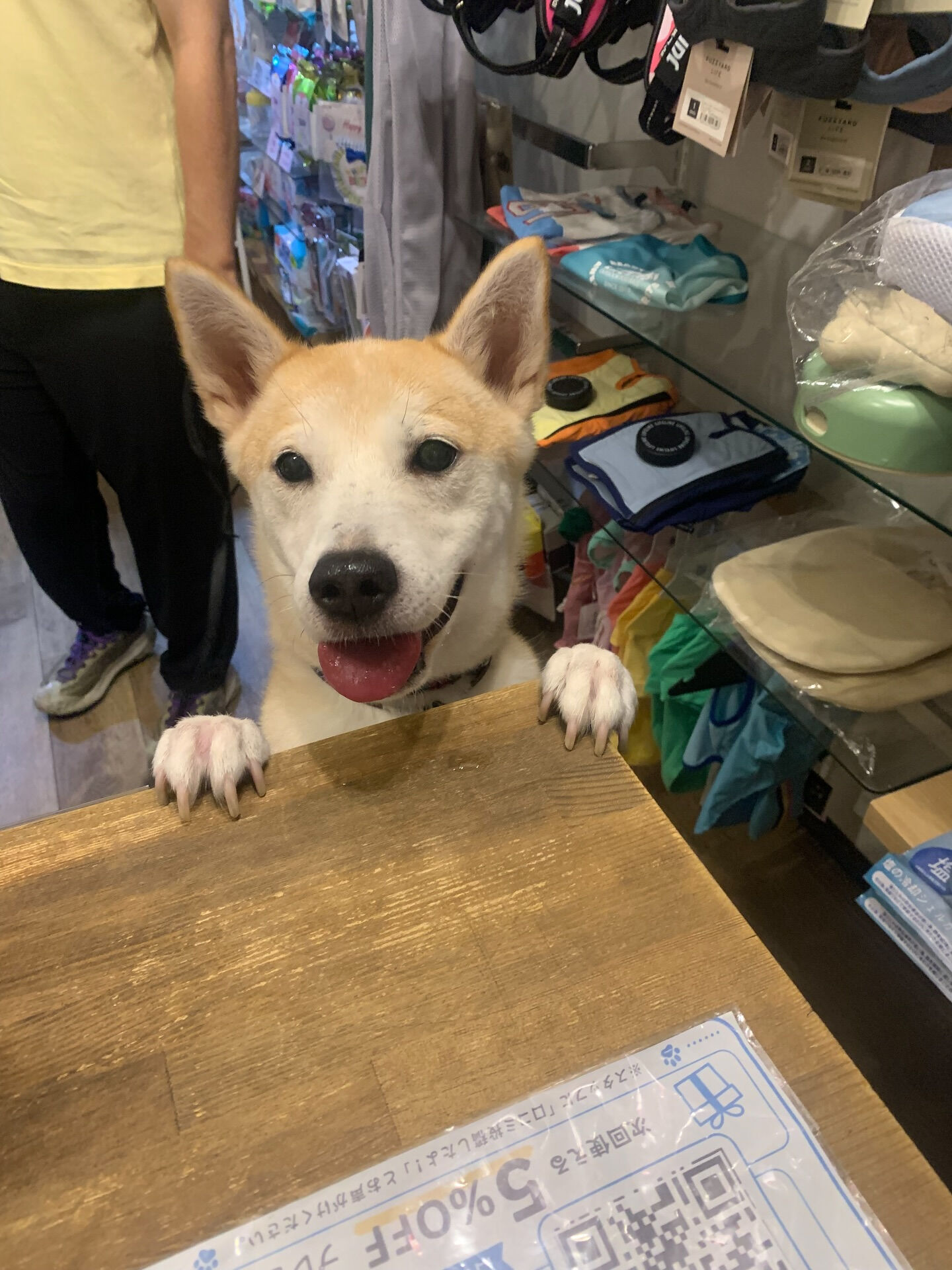 こむぎくんご来店ありがとうございます😊