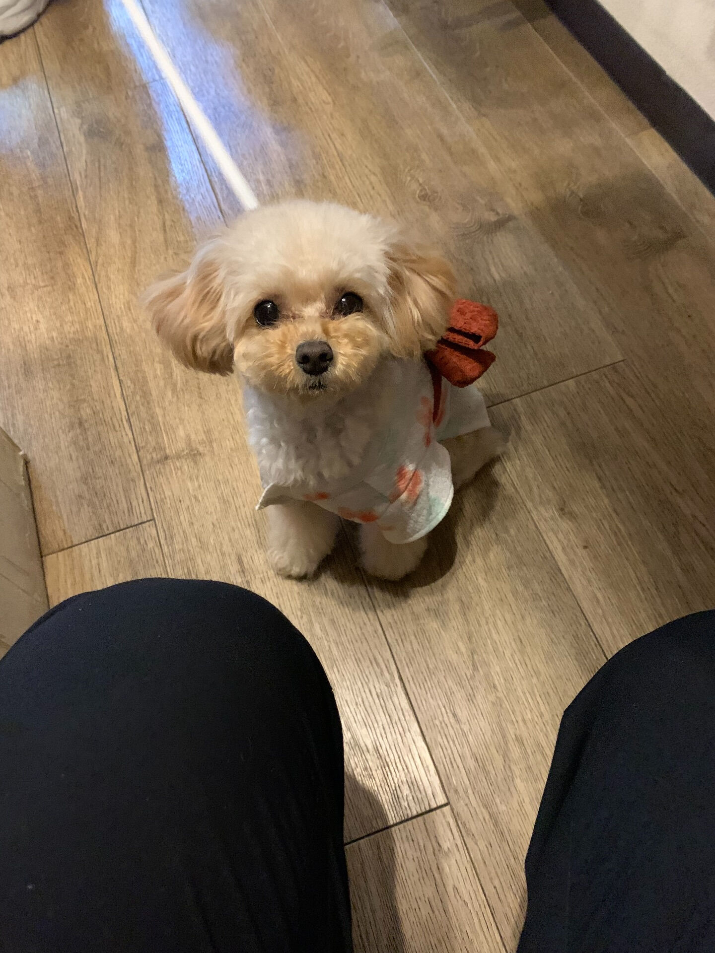 ルナちゃんご来店ありがとうございます😊