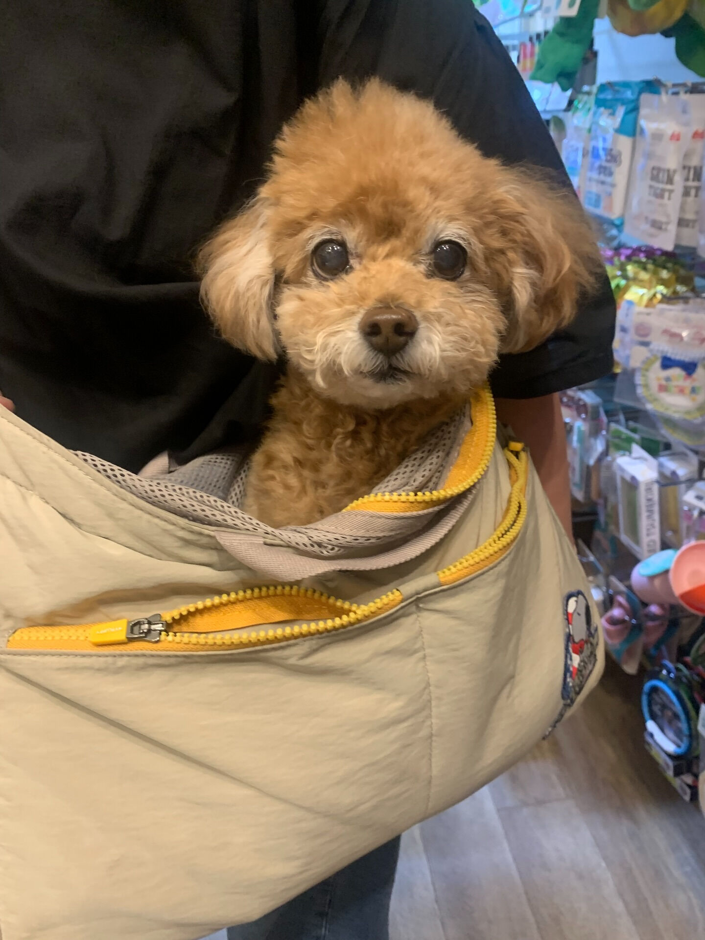 はるちゃんご来店ありがとうございます😊