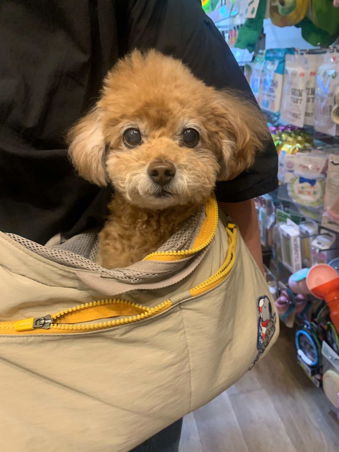 はるちゃんご来店ありがとうございます😊