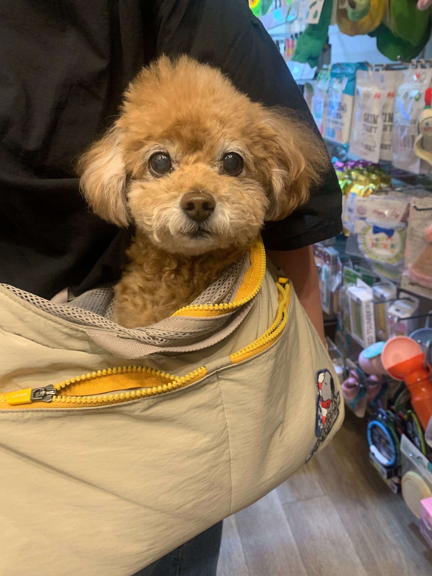 はるちゃんご来店ありがとうございます😊