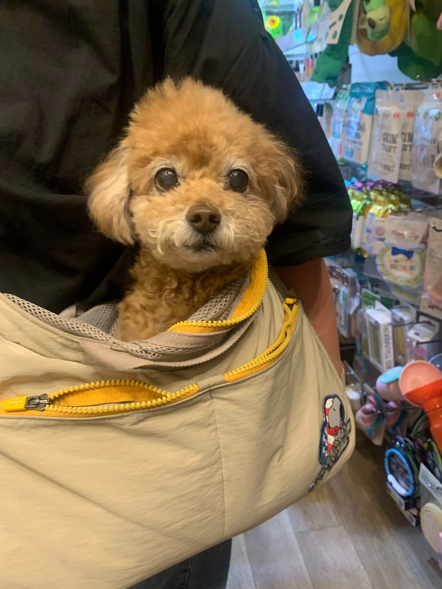 はるちゃんご来店ありがとうございます😊