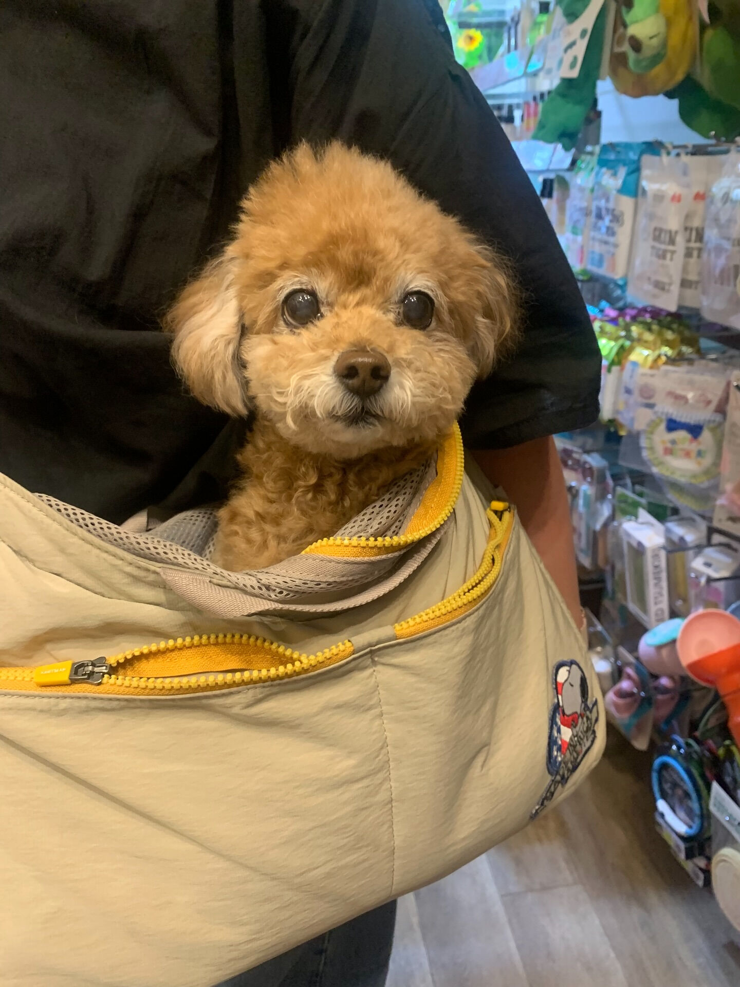 はるちゃんご来店ありがとうございます😊