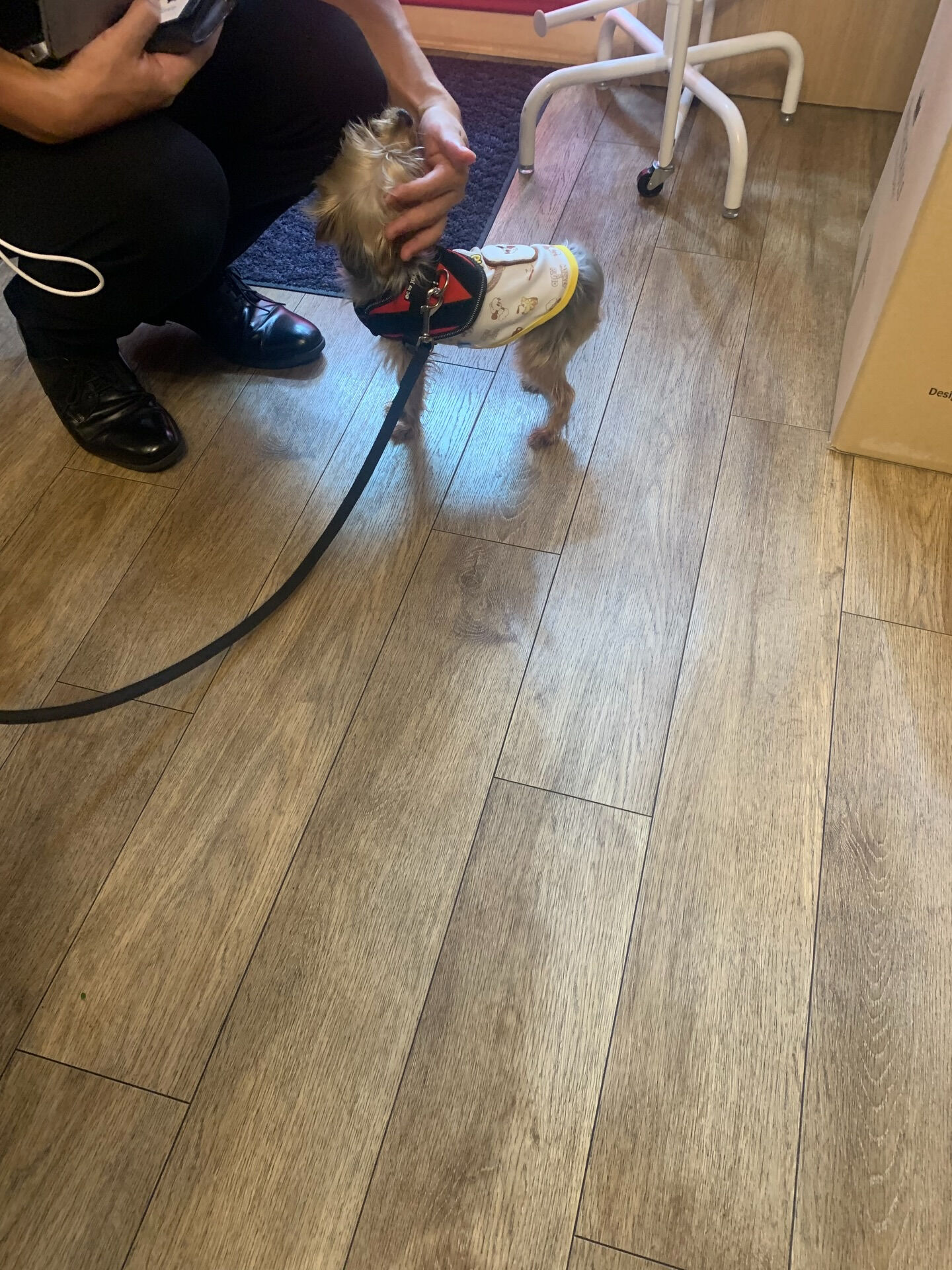 ももちゃんご来店ありがとうございます😊