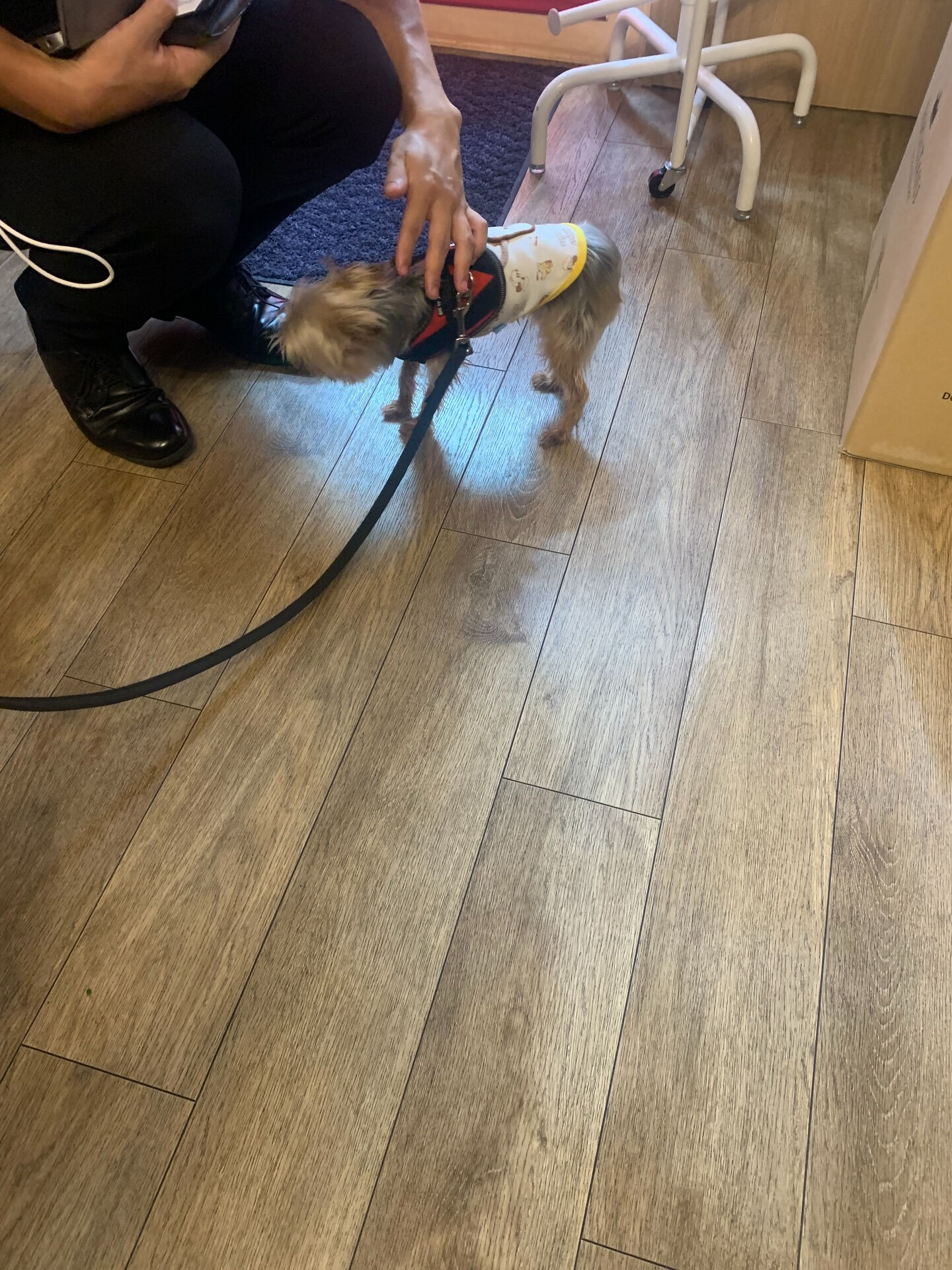 ももちゃんご来店ありがとうございます😊