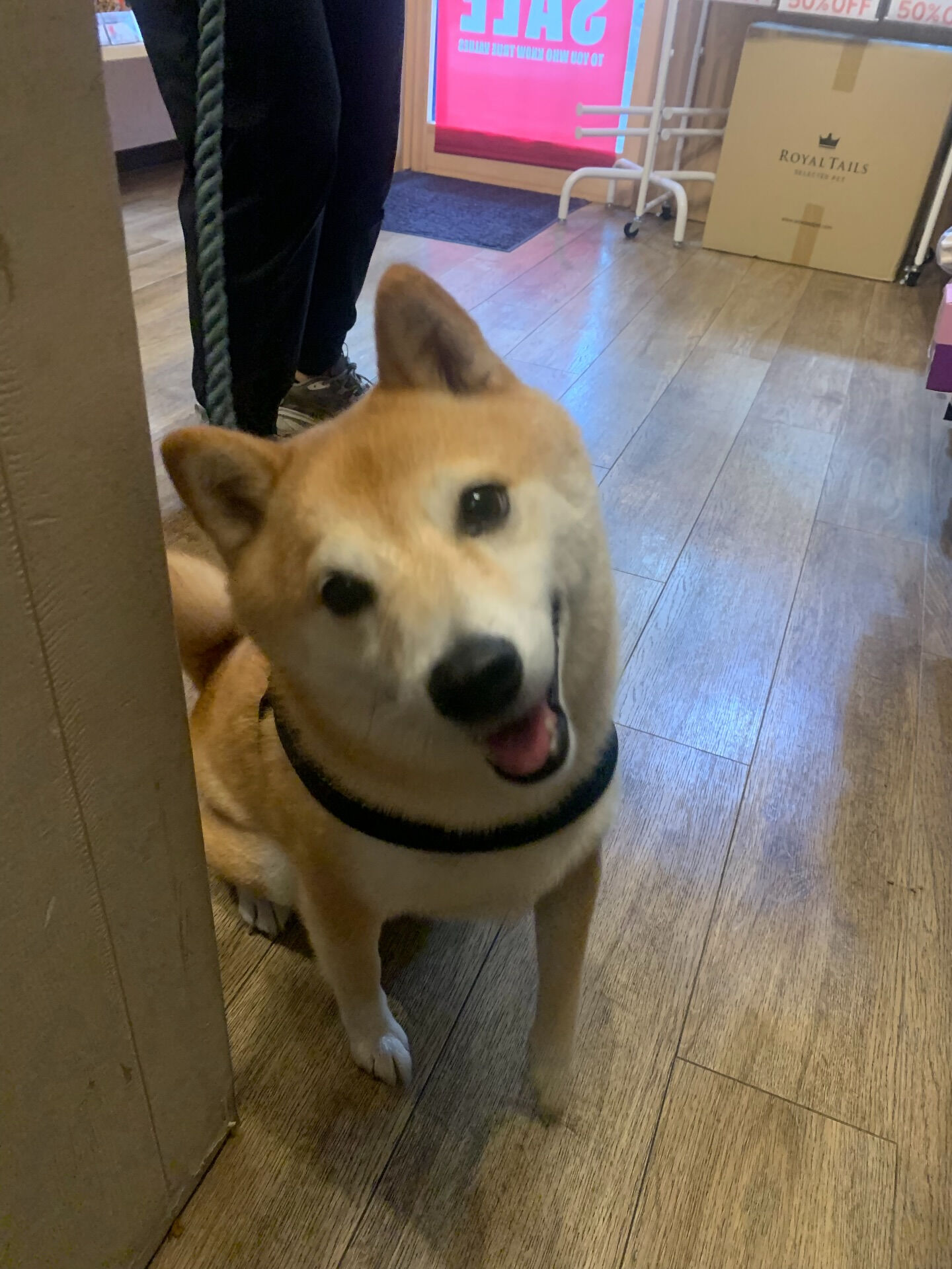 本日の大トリはハッピーちゃんでしたー！