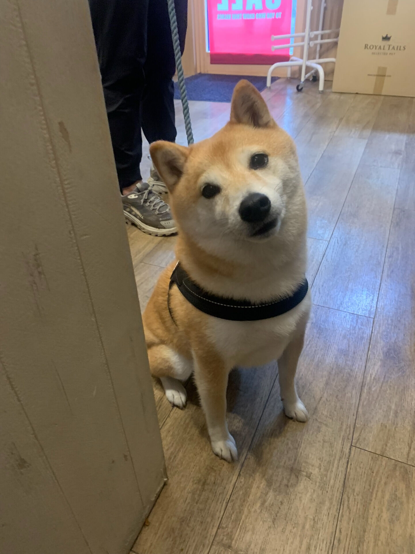 本日の大トリはハッピーちゃんでしたー！