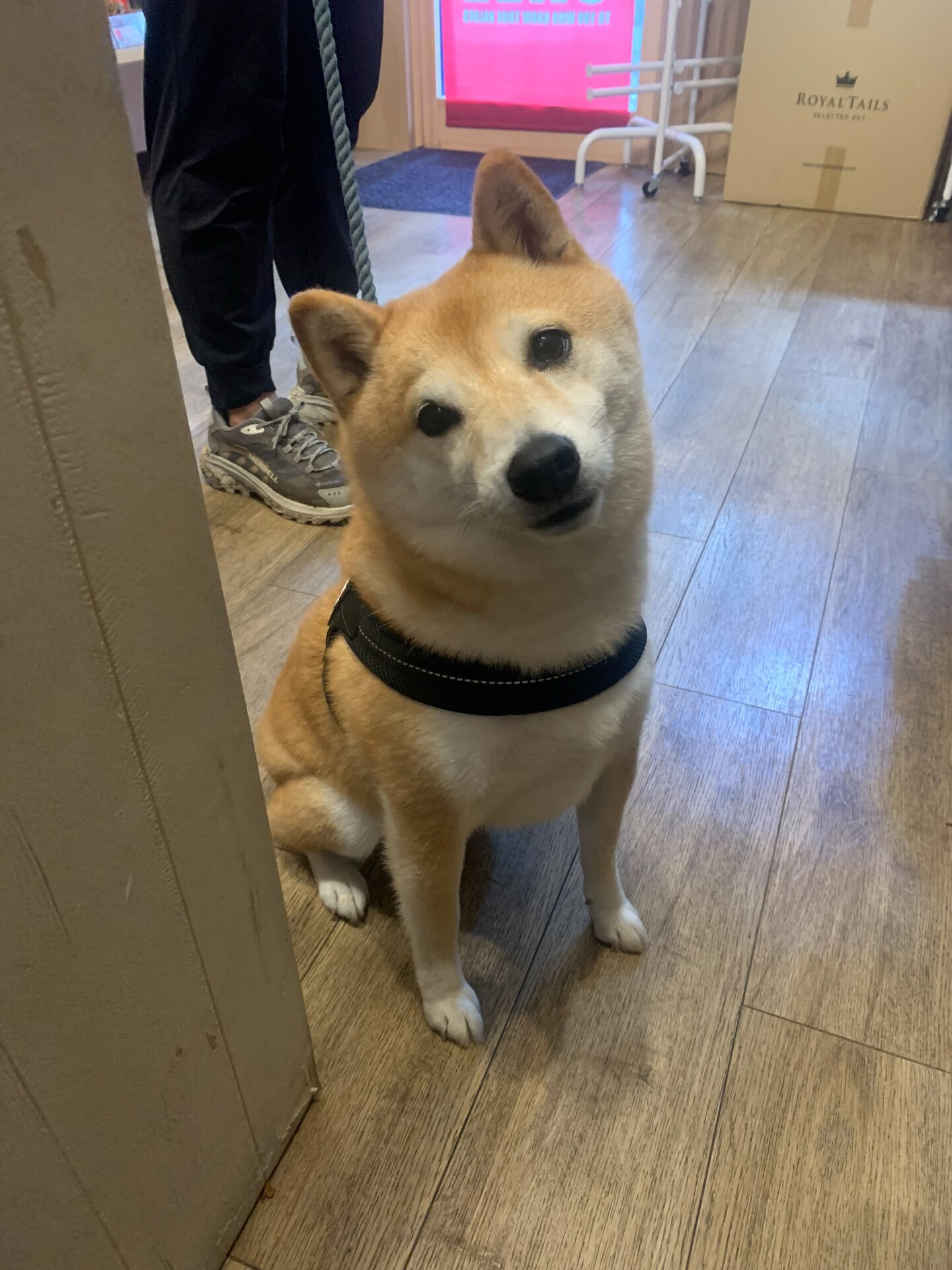本日の大トリはハッピーちゃんでしたー！