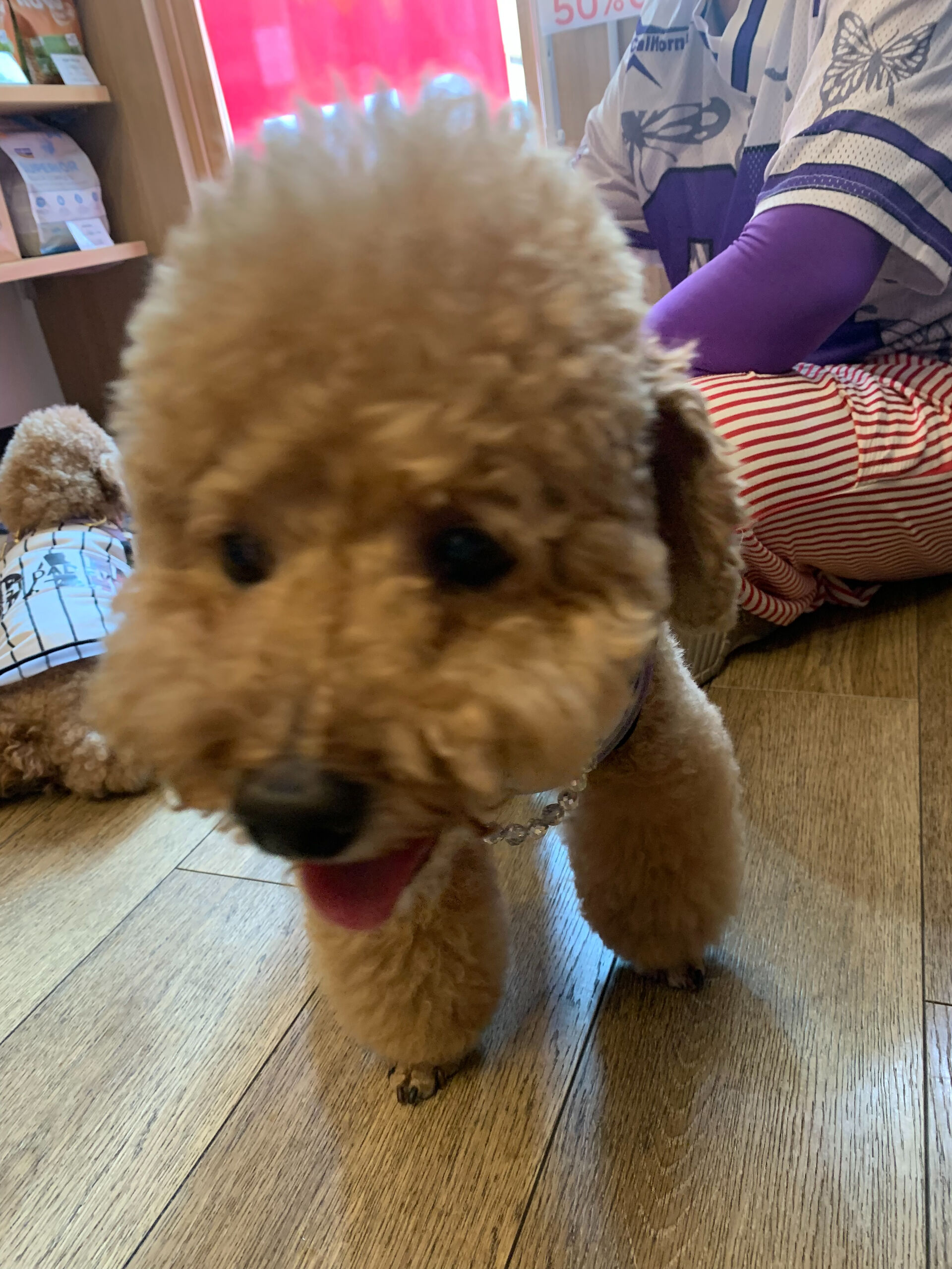 ティアくん、レオくんご来店ありがとうございます😊