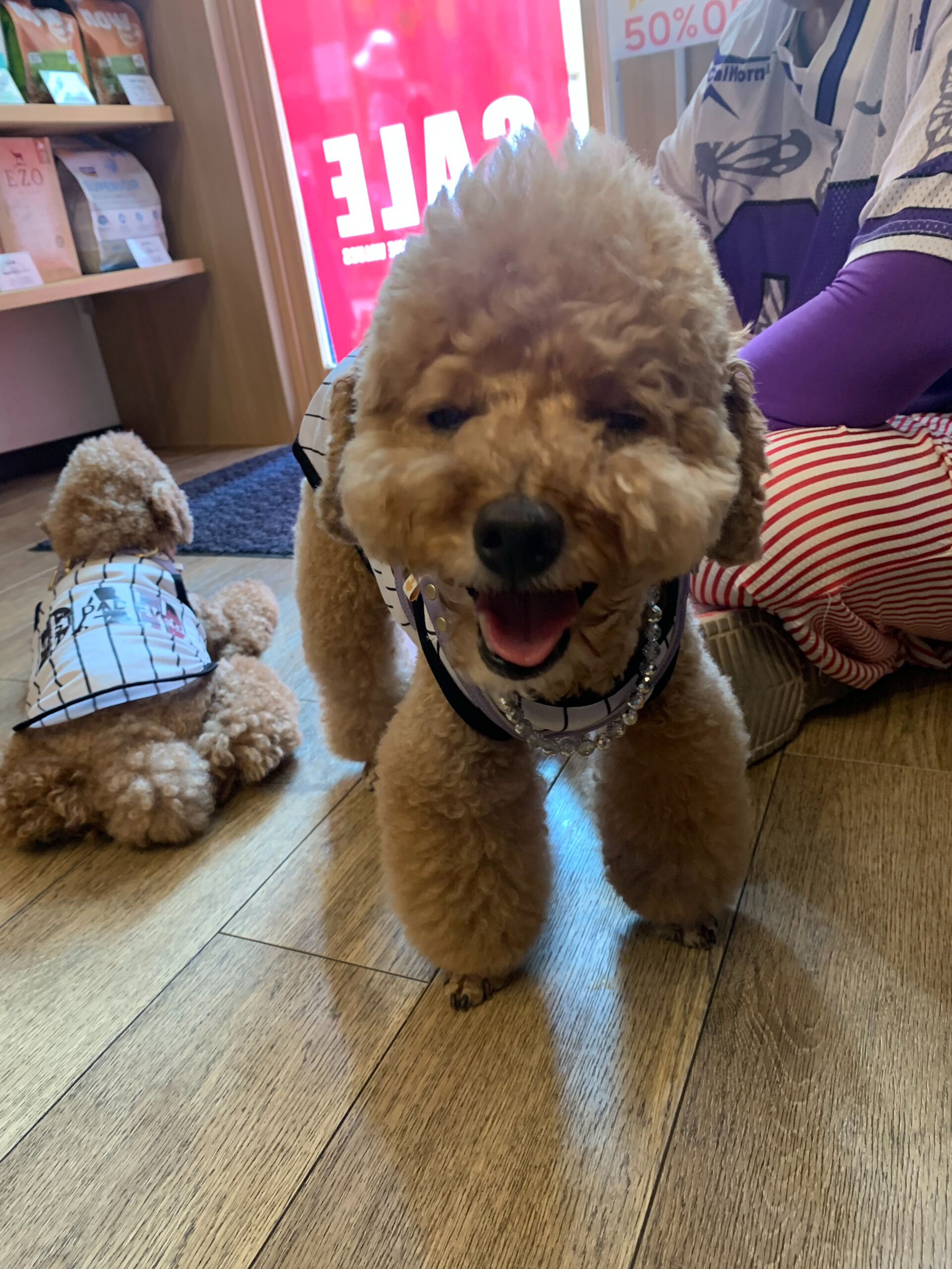 ティアくん、レオくんご来店ありがとうございます😊