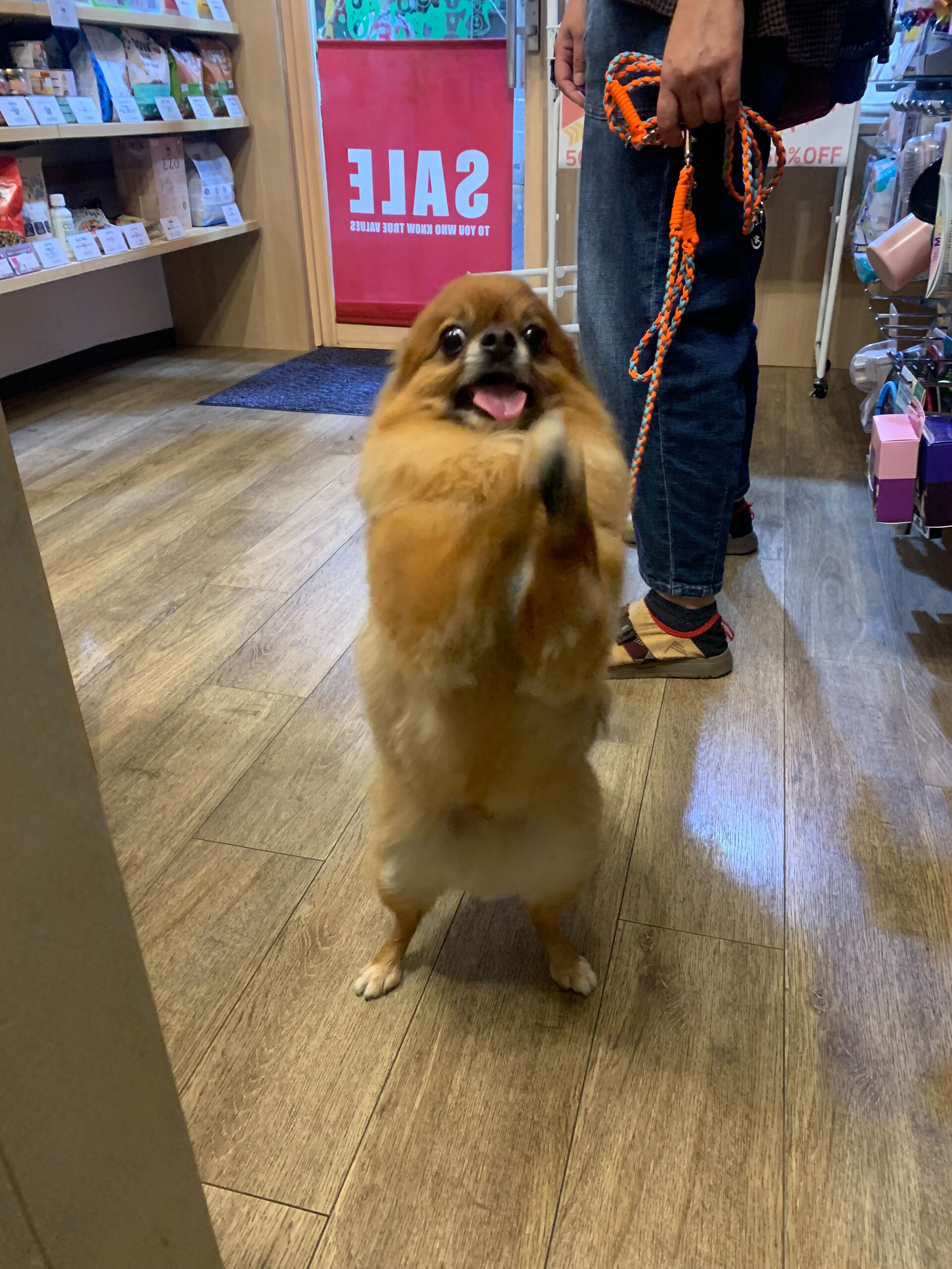 こてつくんご来店ありがとうございます😊