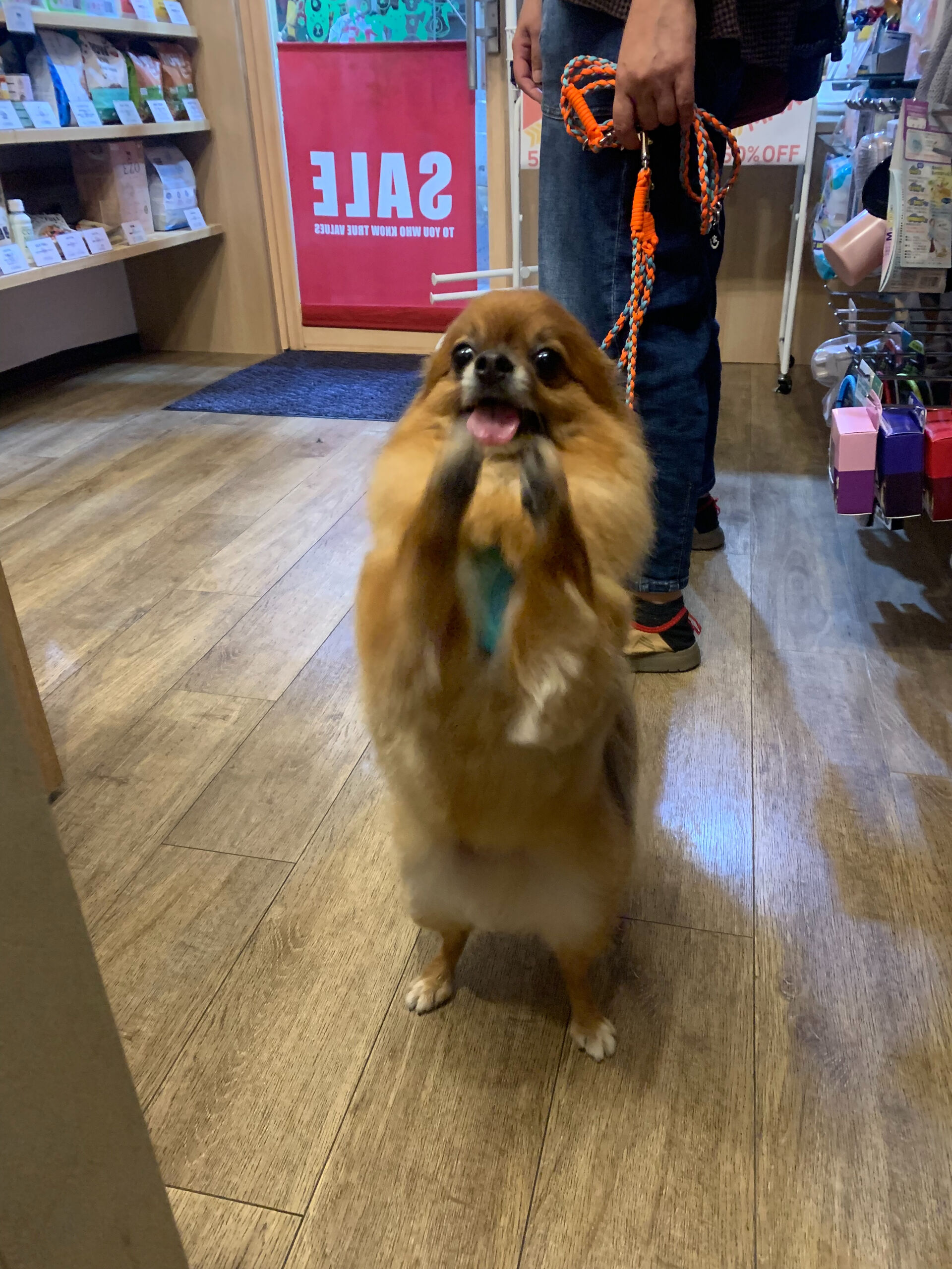 こてつくんご来店ありがとうございます😊