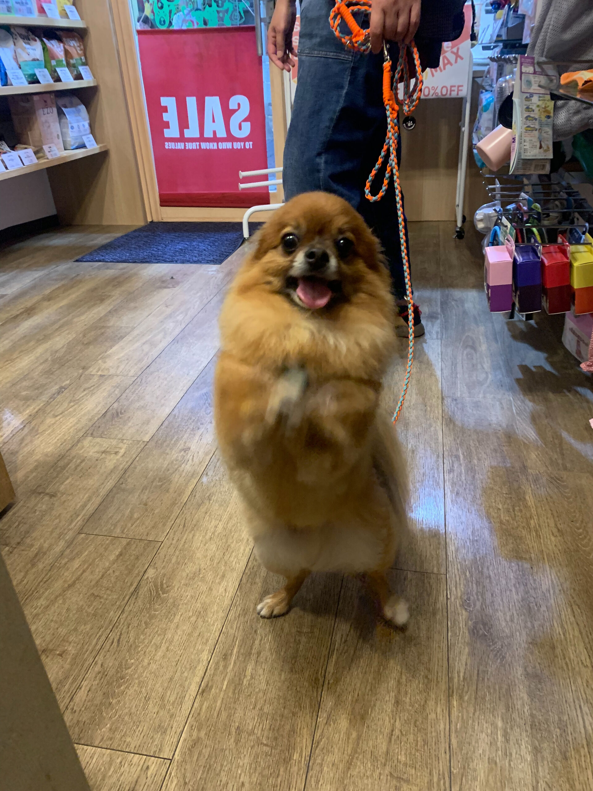 こてつくんご来店ありがとうございます😊