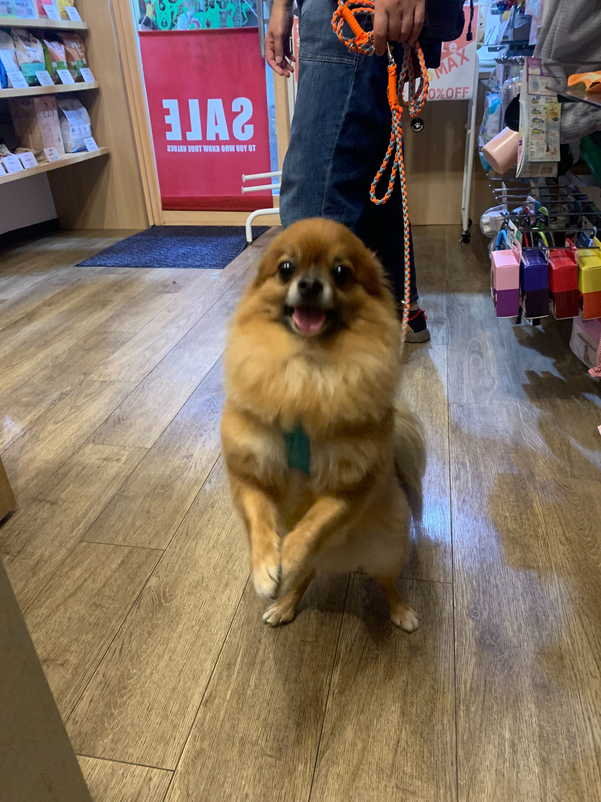 こてつくんご来店ありがとうございます😊