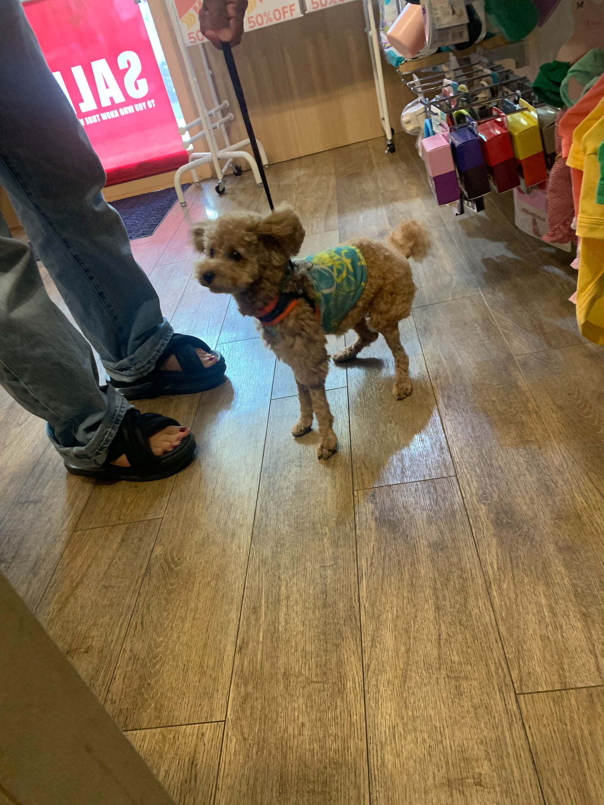 チェリくんご来店ありがとうございます😊