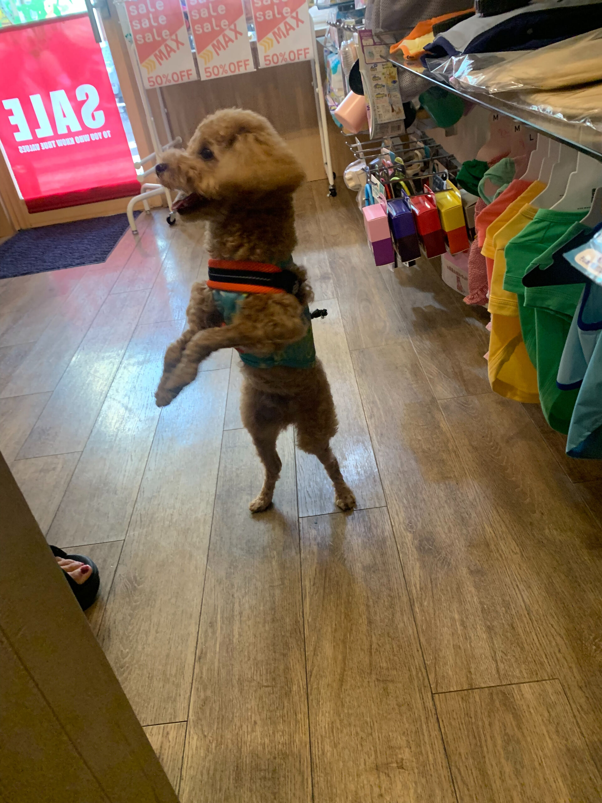 チェリくんご来店ありがとうございます😊