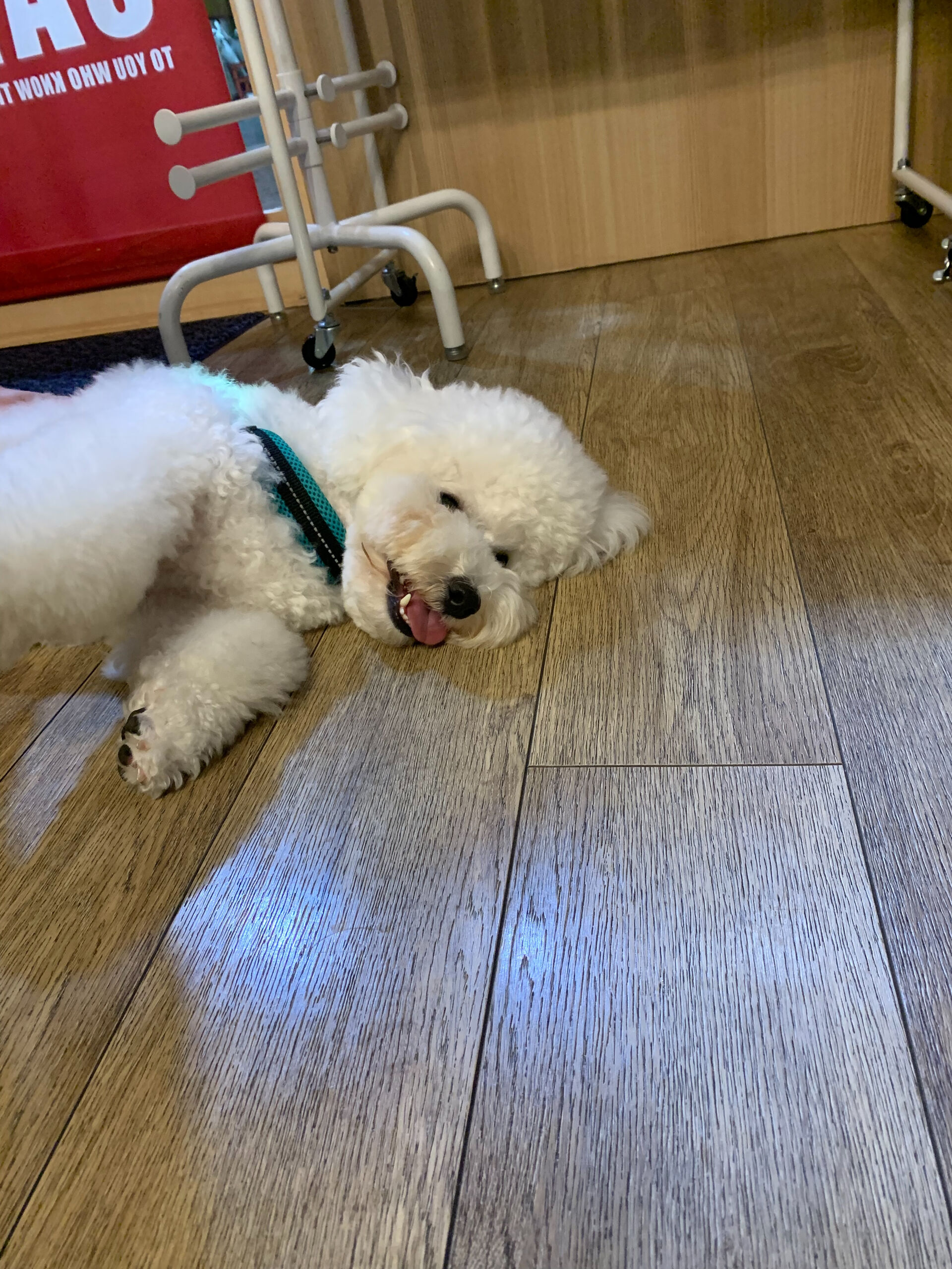 フランくんご来店ありがとうございます😊